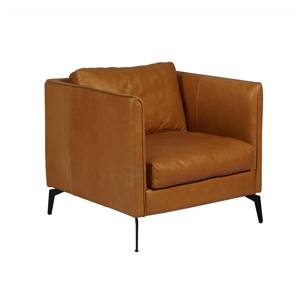 Armchair Habrocomes
