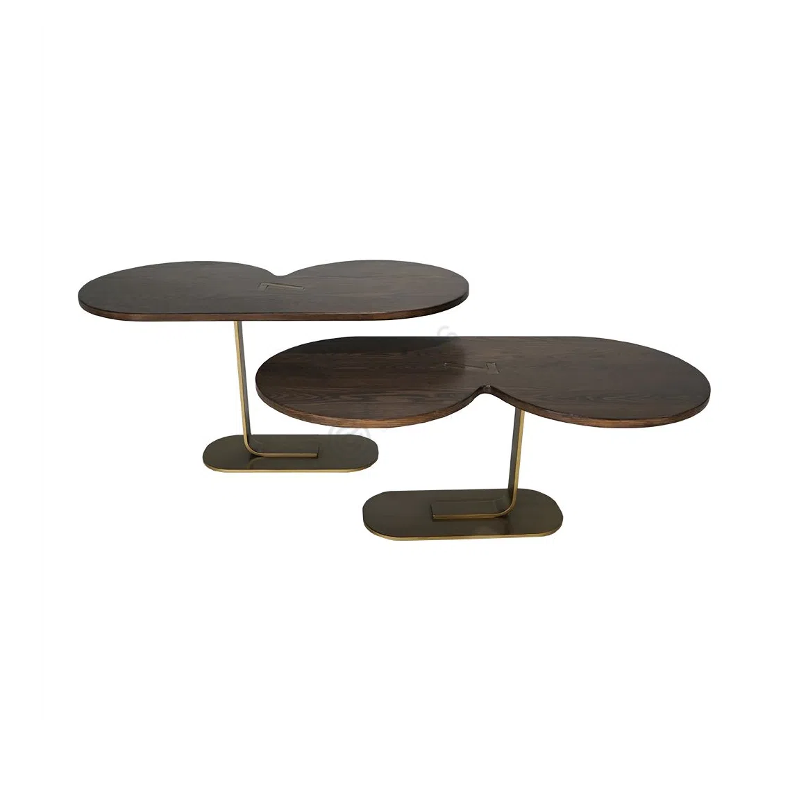 Coffee table Allegato