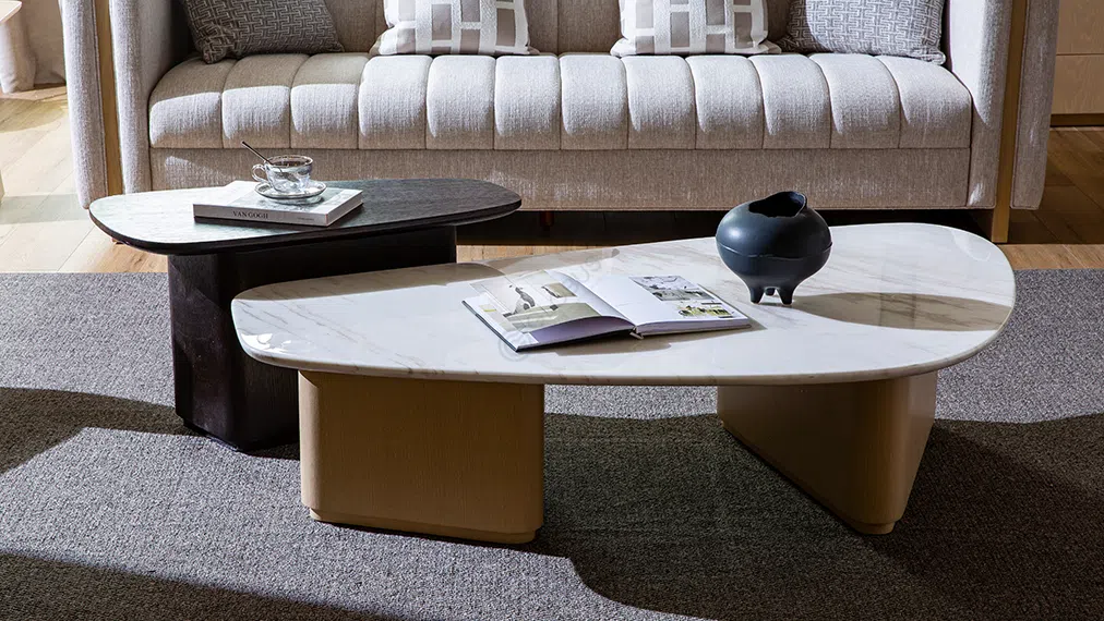 Coffee table Elfardia