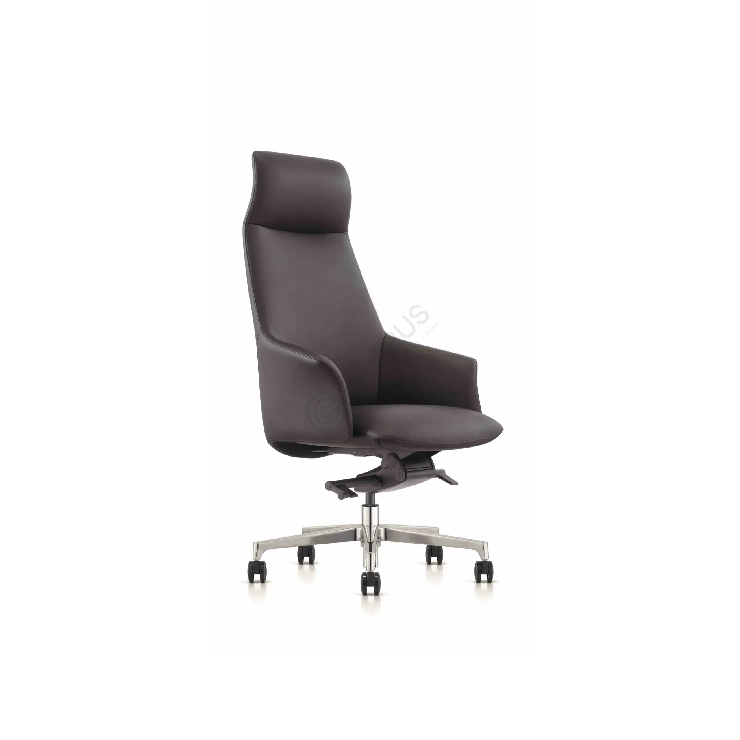 Office armchair Jaquiticus