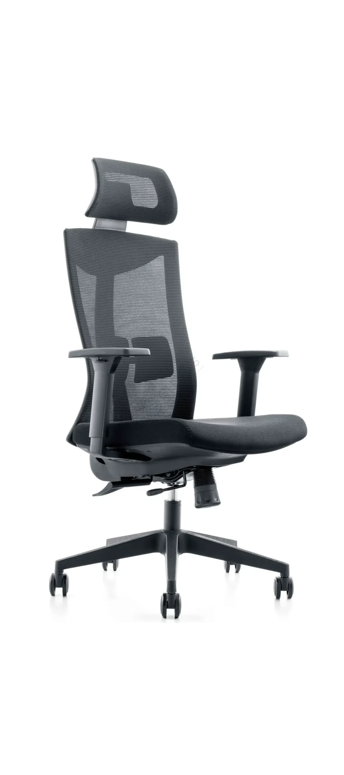 Office chair Eveleen
