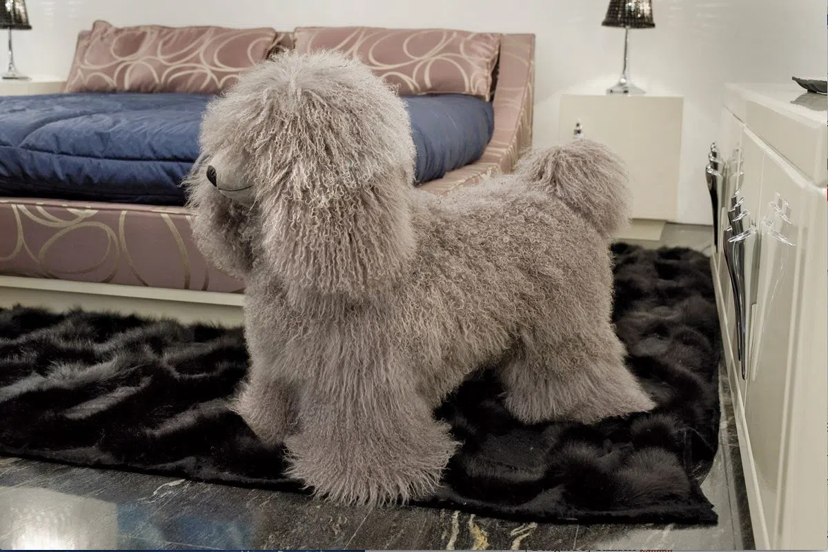 Pouf VISIONNAIRE Klipper