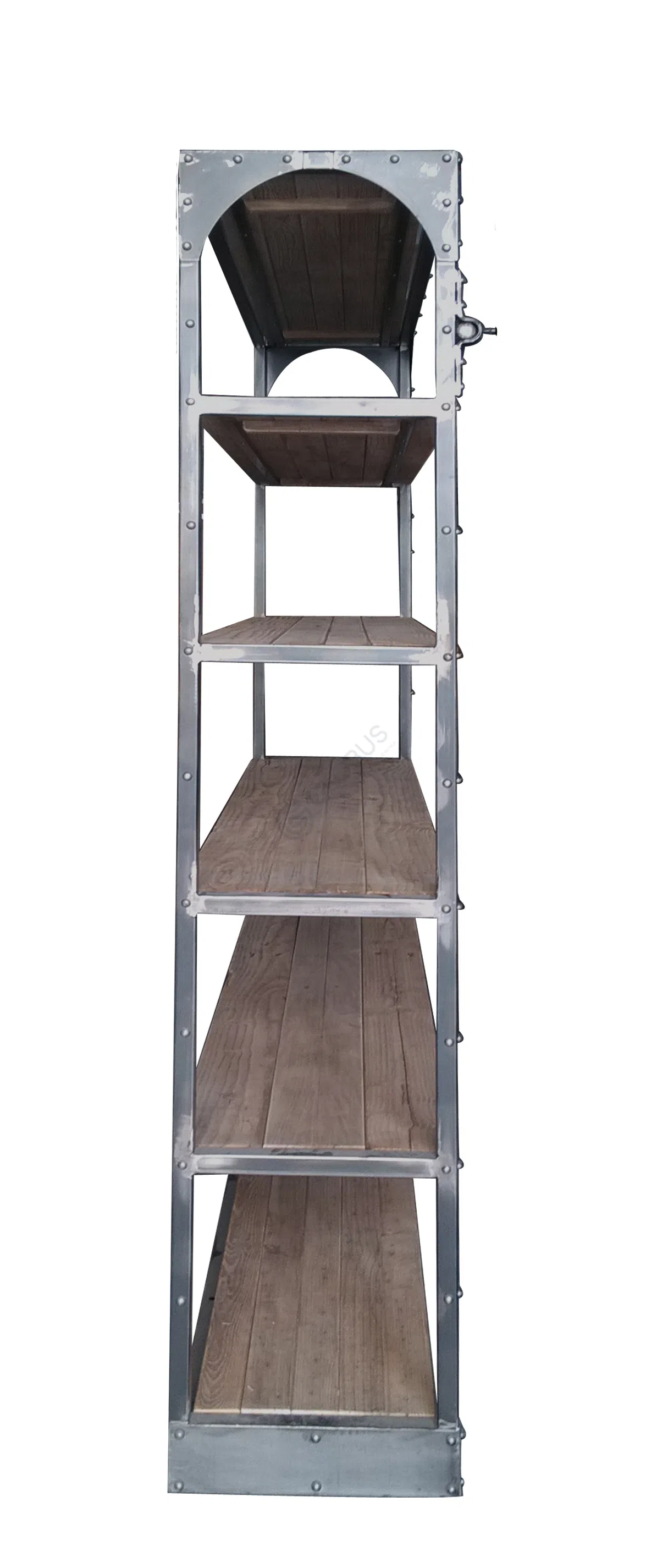 Bookshelf Corallinus