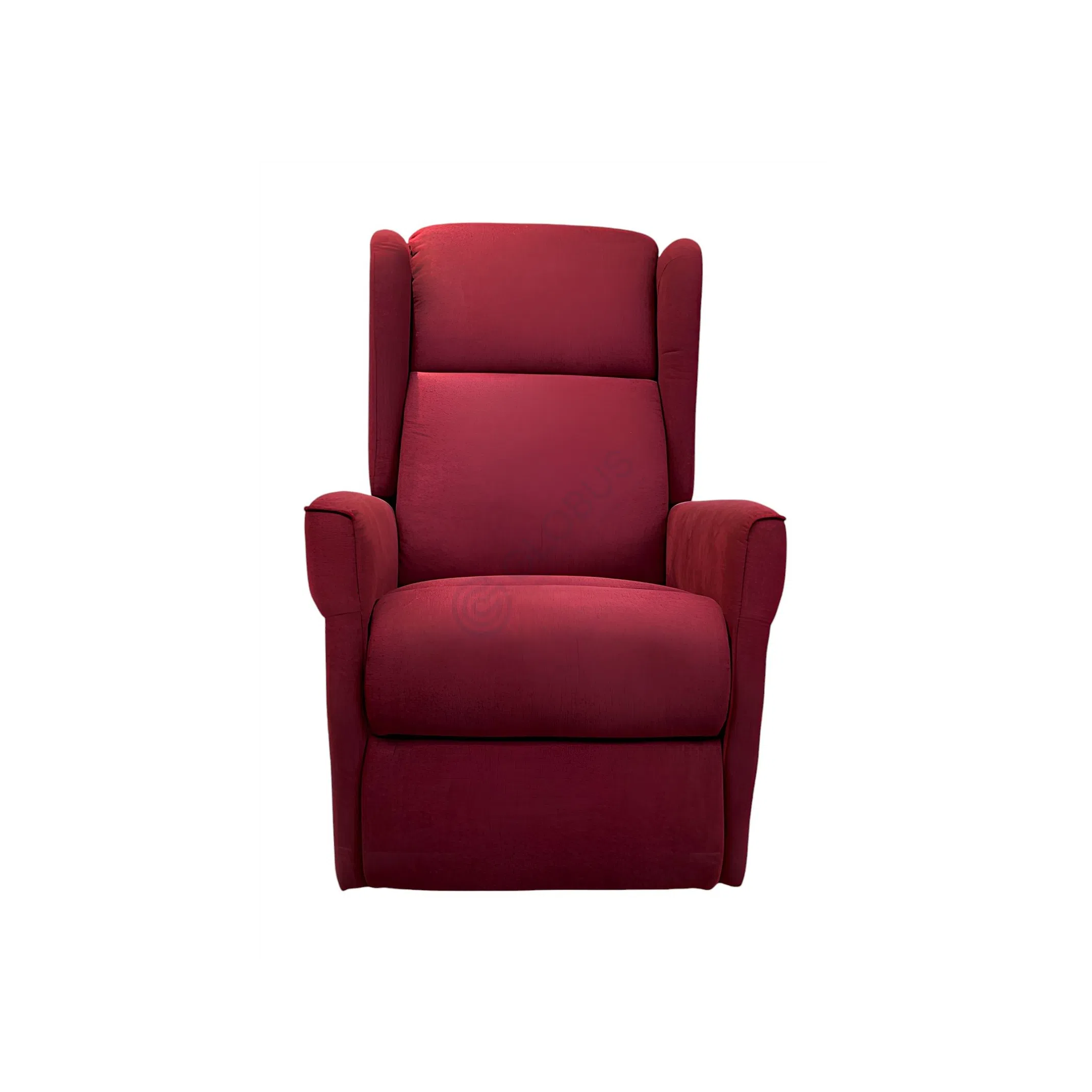Reclining armchair Ferrarius