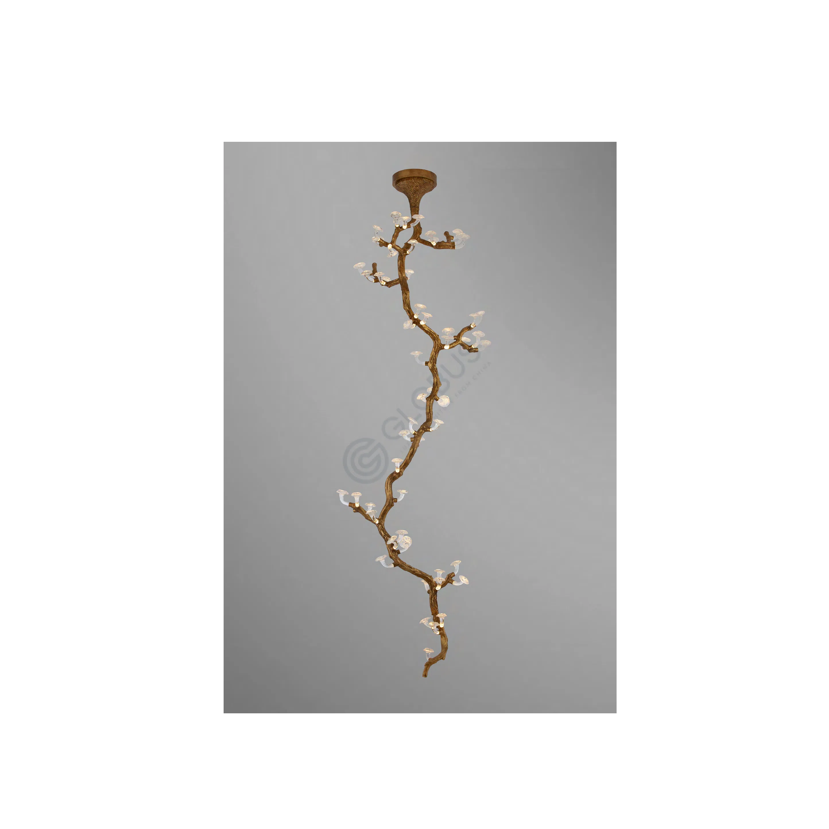 Chandelier Parvulus