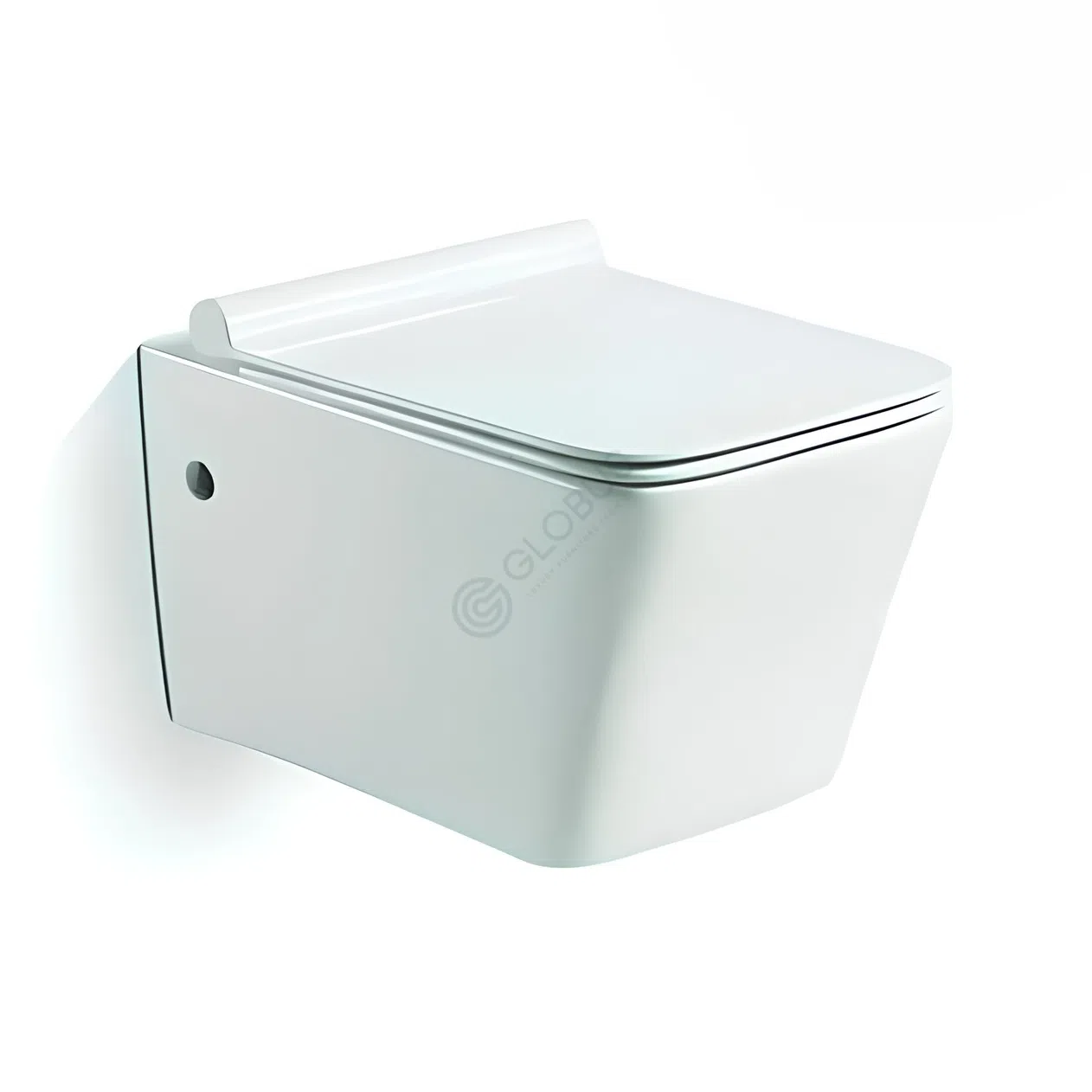 Toilet Corbina