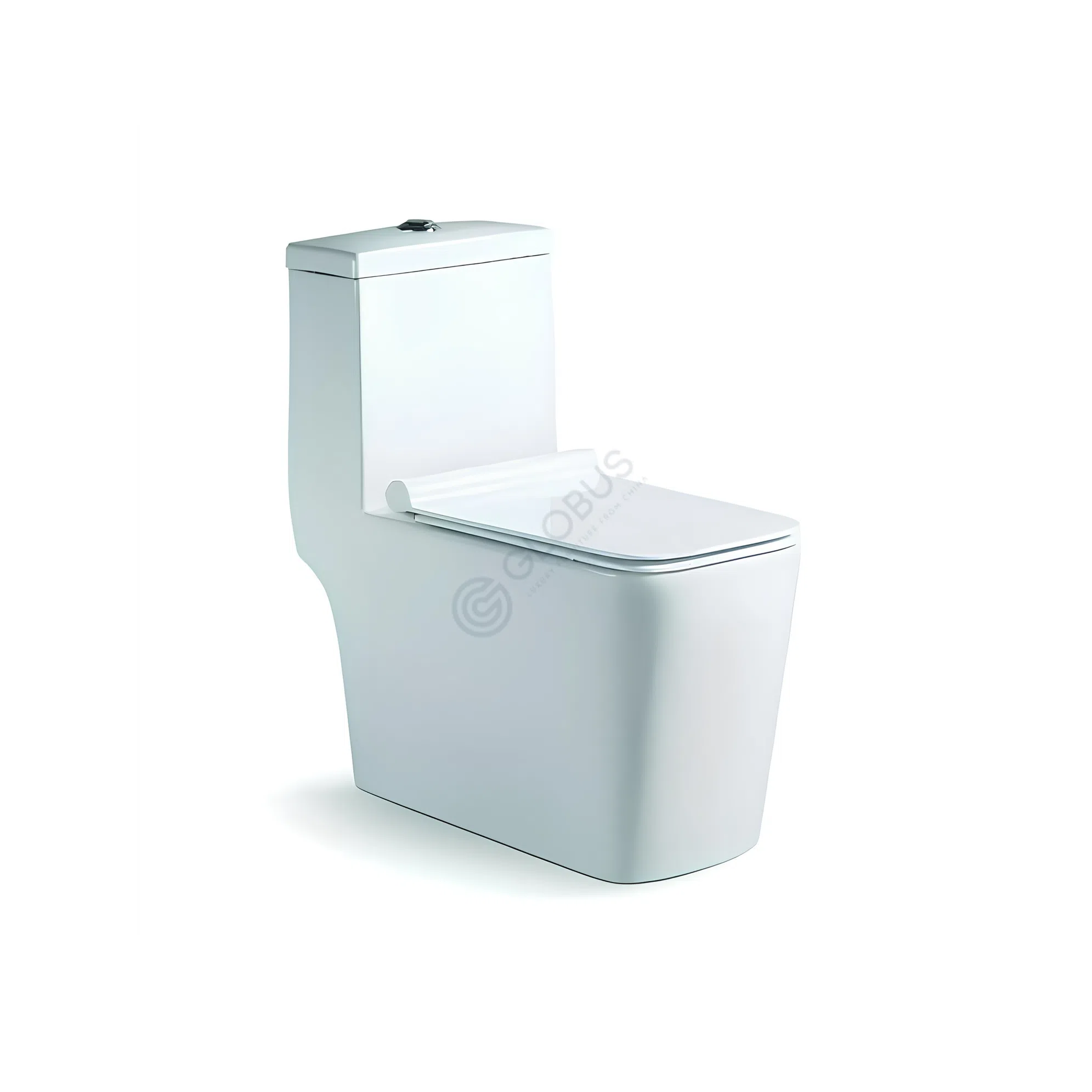 Toilet Jordinus