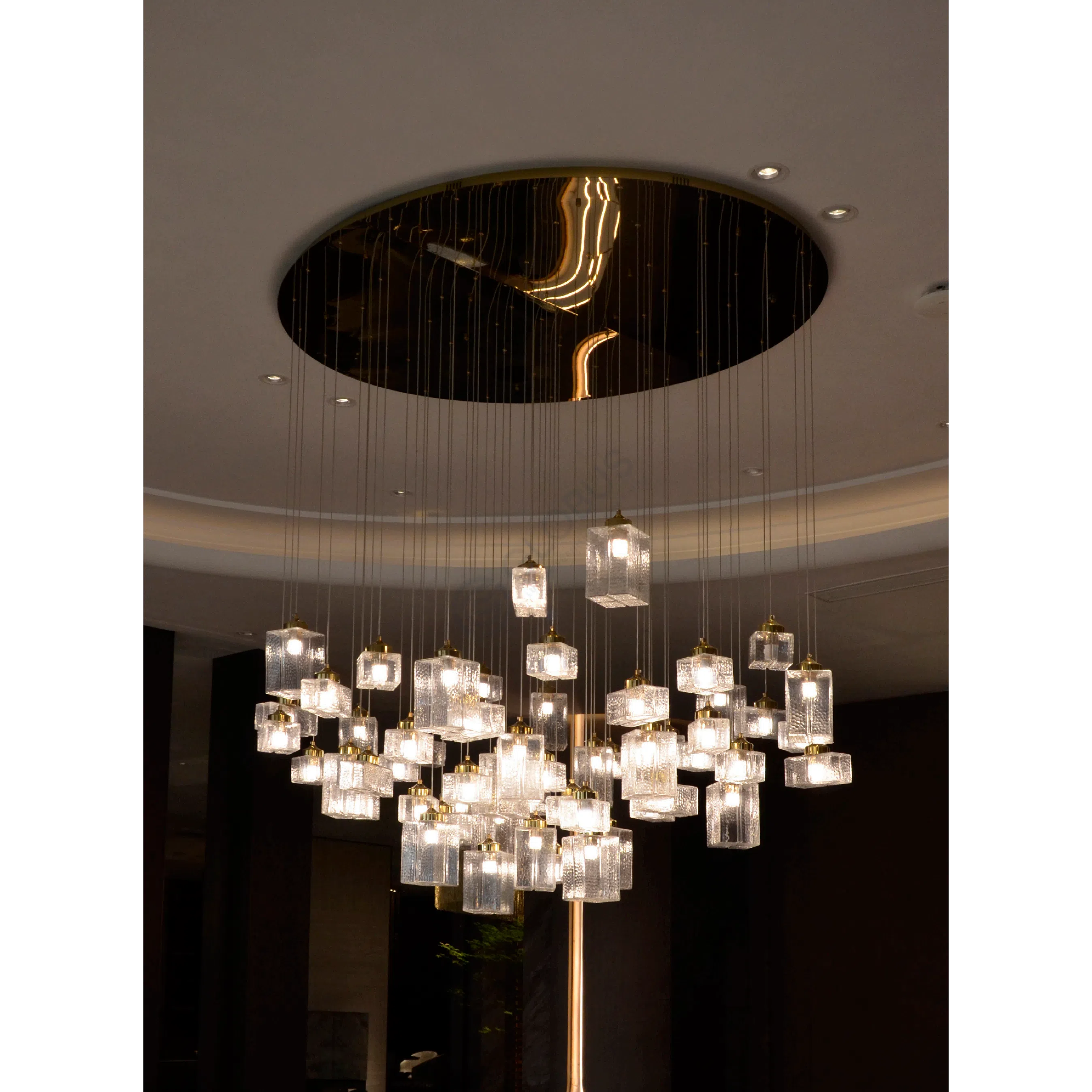 Chandelier Pectineus