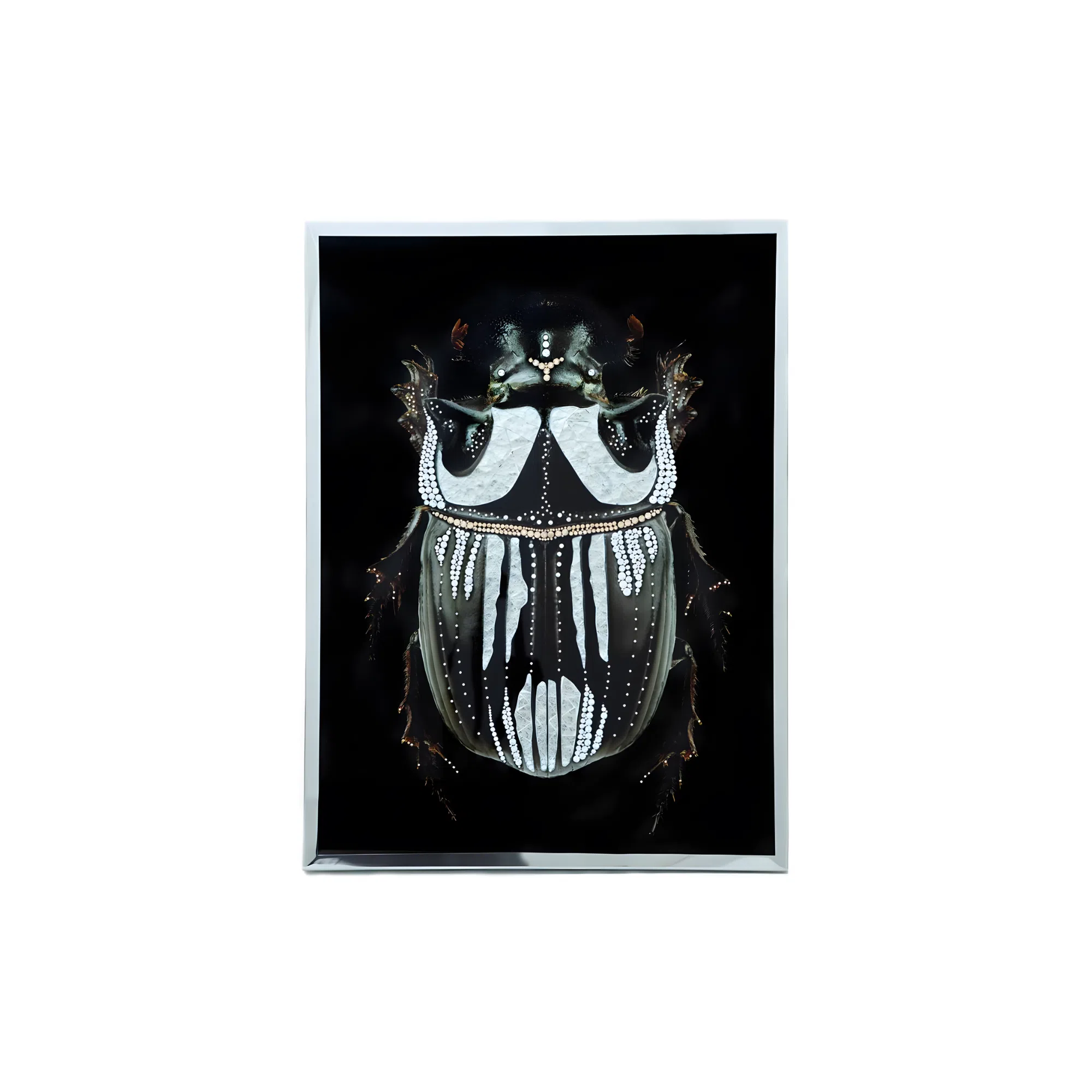 Painting VISIONNAIRE Coleottero Nero