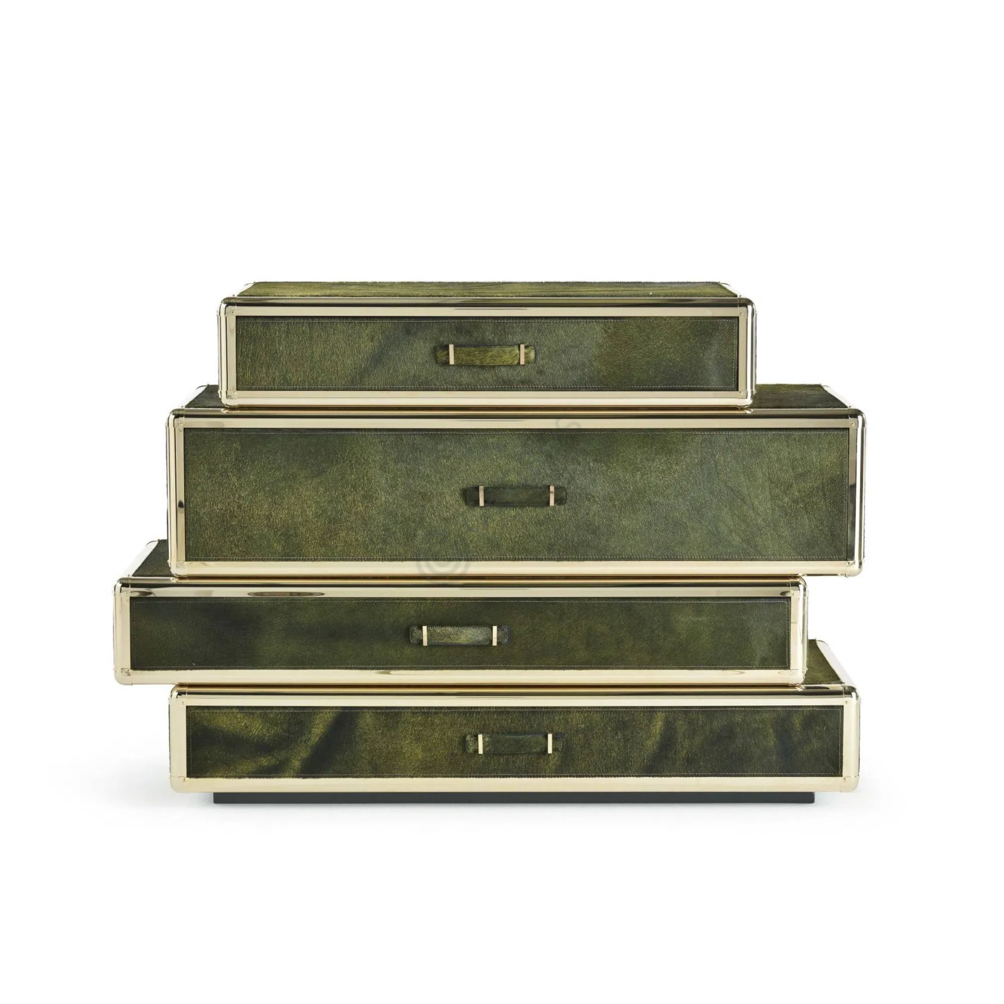 Dresser ROBERTO CAVALLI Fly Case 2