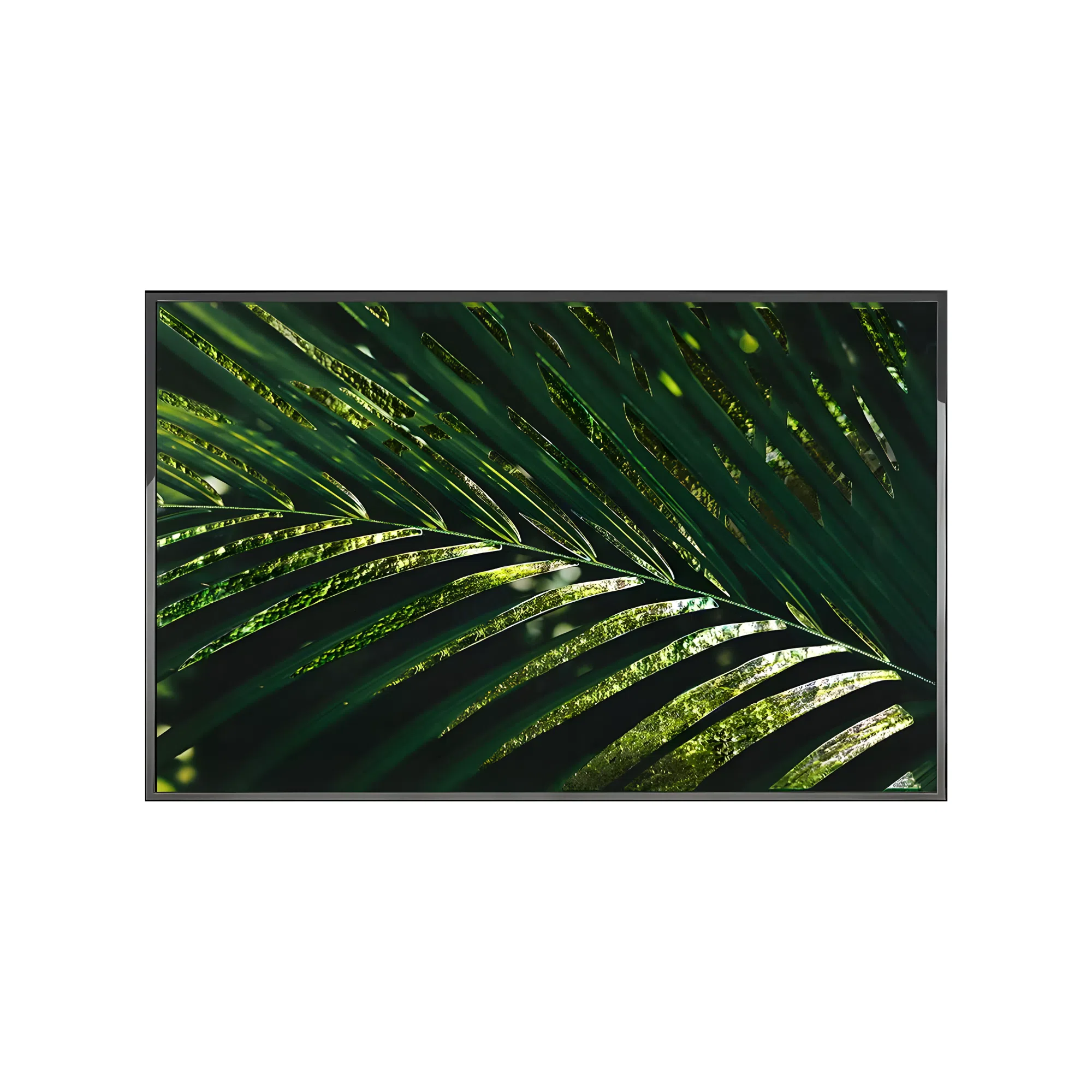 Painting VISIONNAIRE Kentia