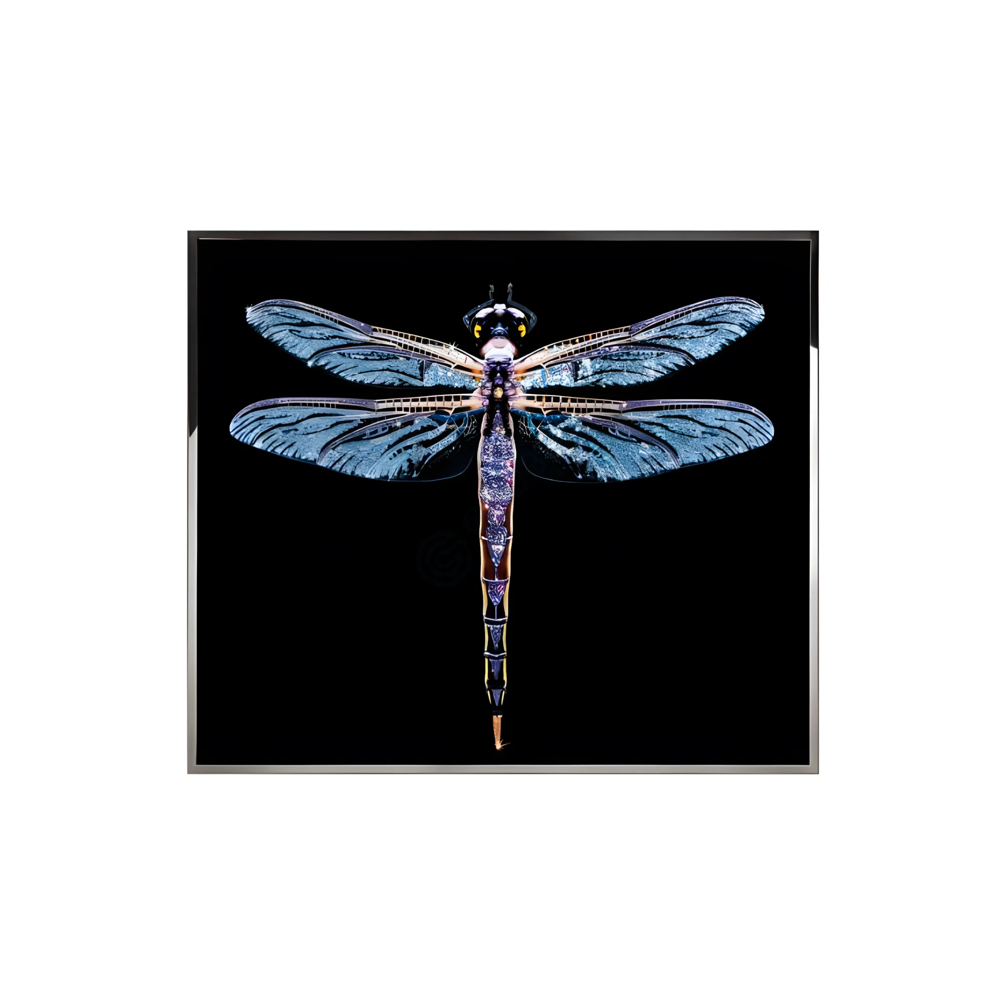 Painting VISIONNAIRE LIBRA