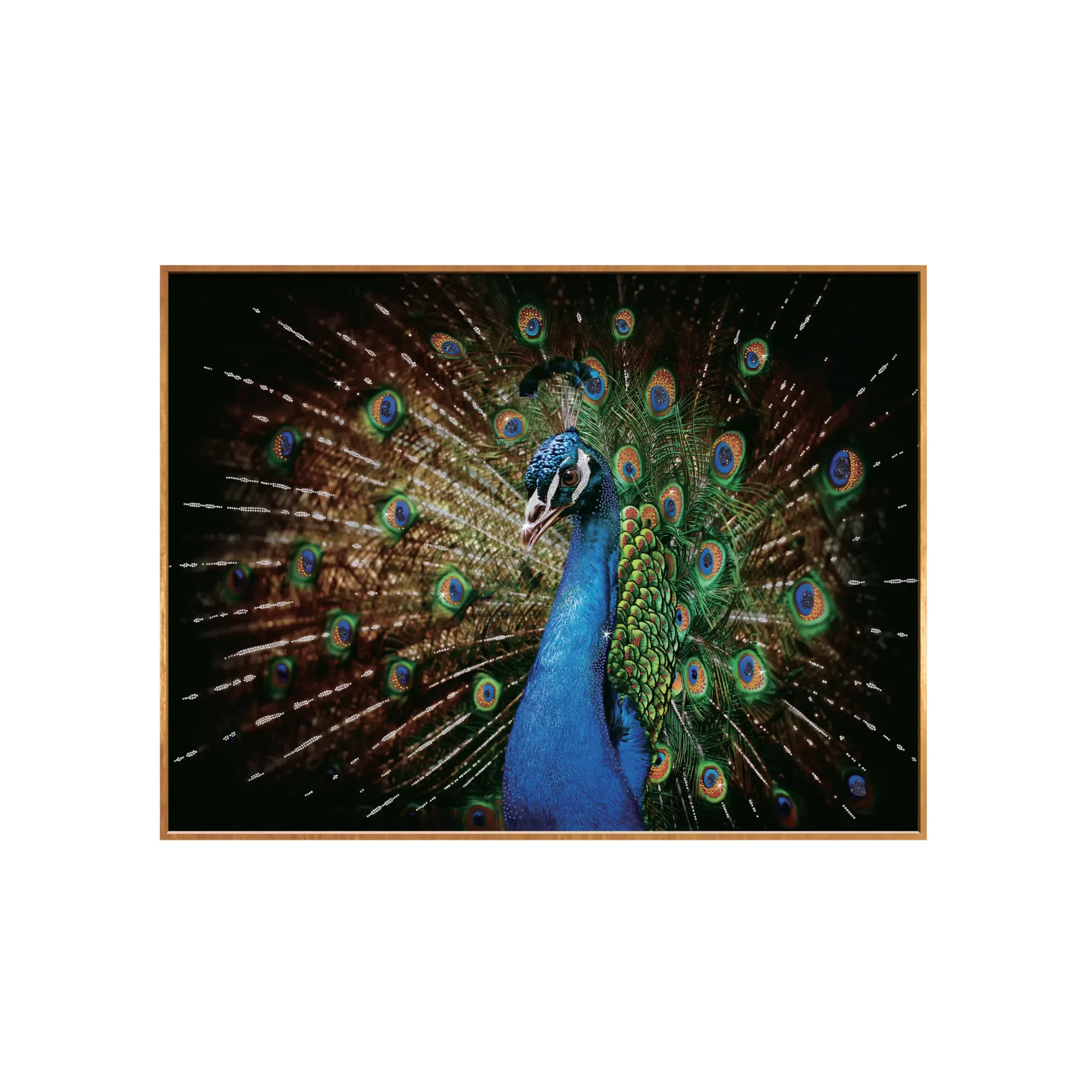 Painting VISIONNAIRE Peacock