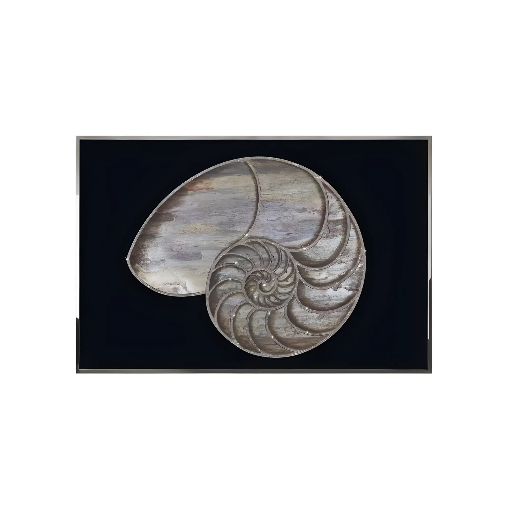 Painting VISIONNAIRE Nautilus