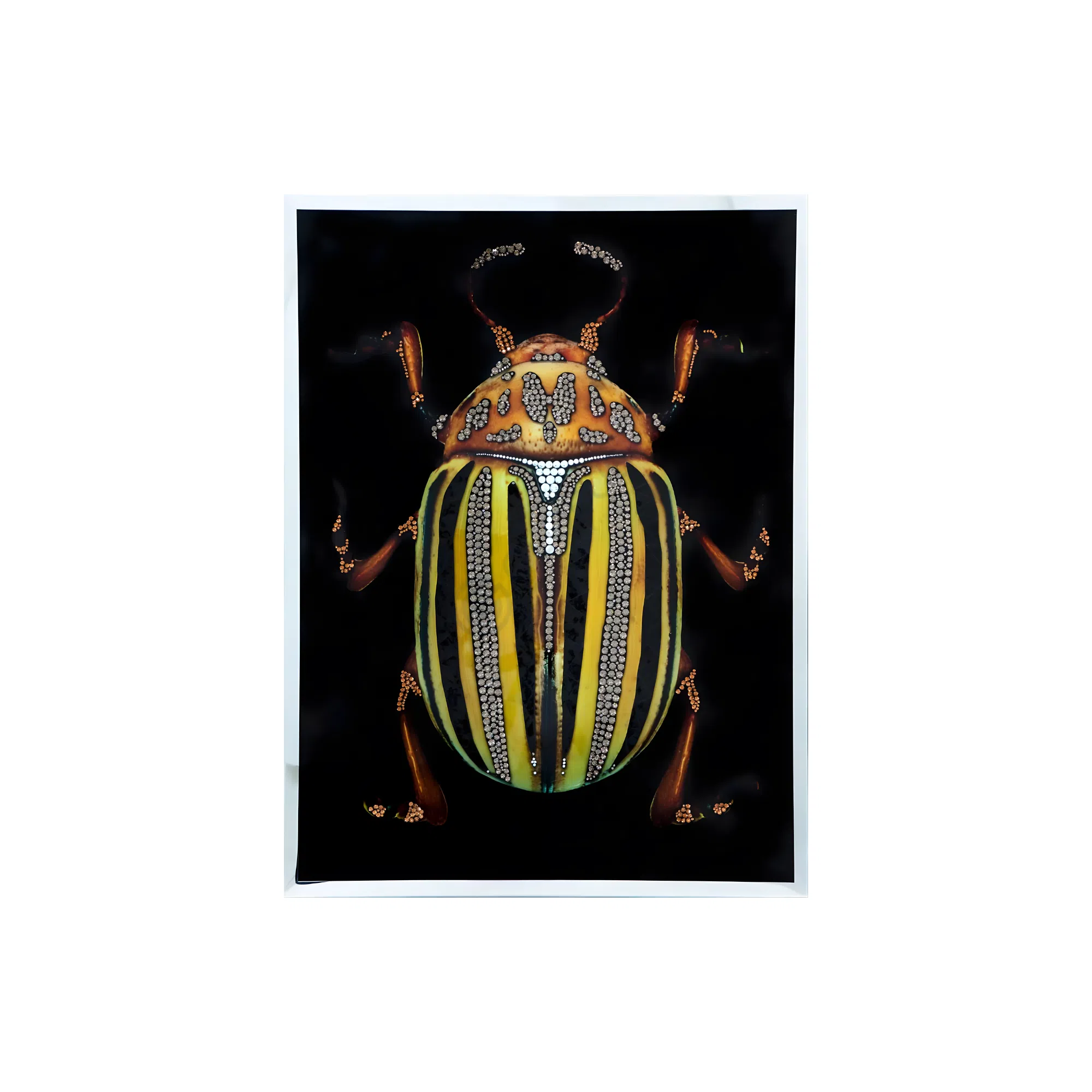 Painting VISIONNAIRE Coleottero Giallo