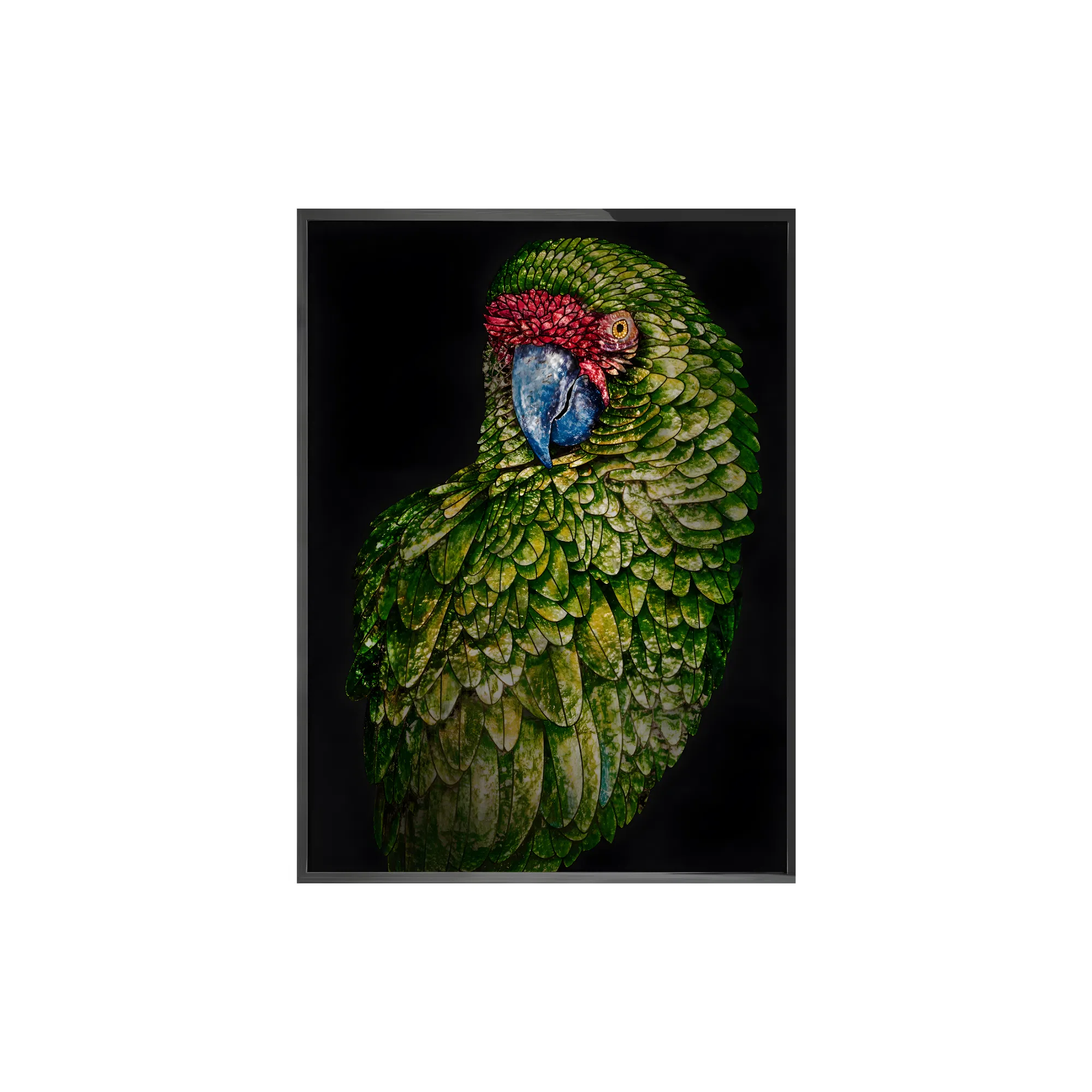 Painting VISIONNAIRE Parrot Fred