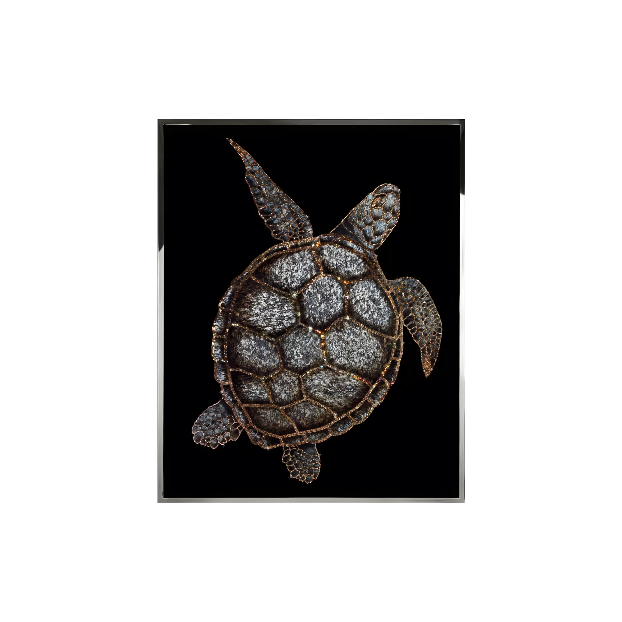 Painting VISIONNAIRE Tartaruga