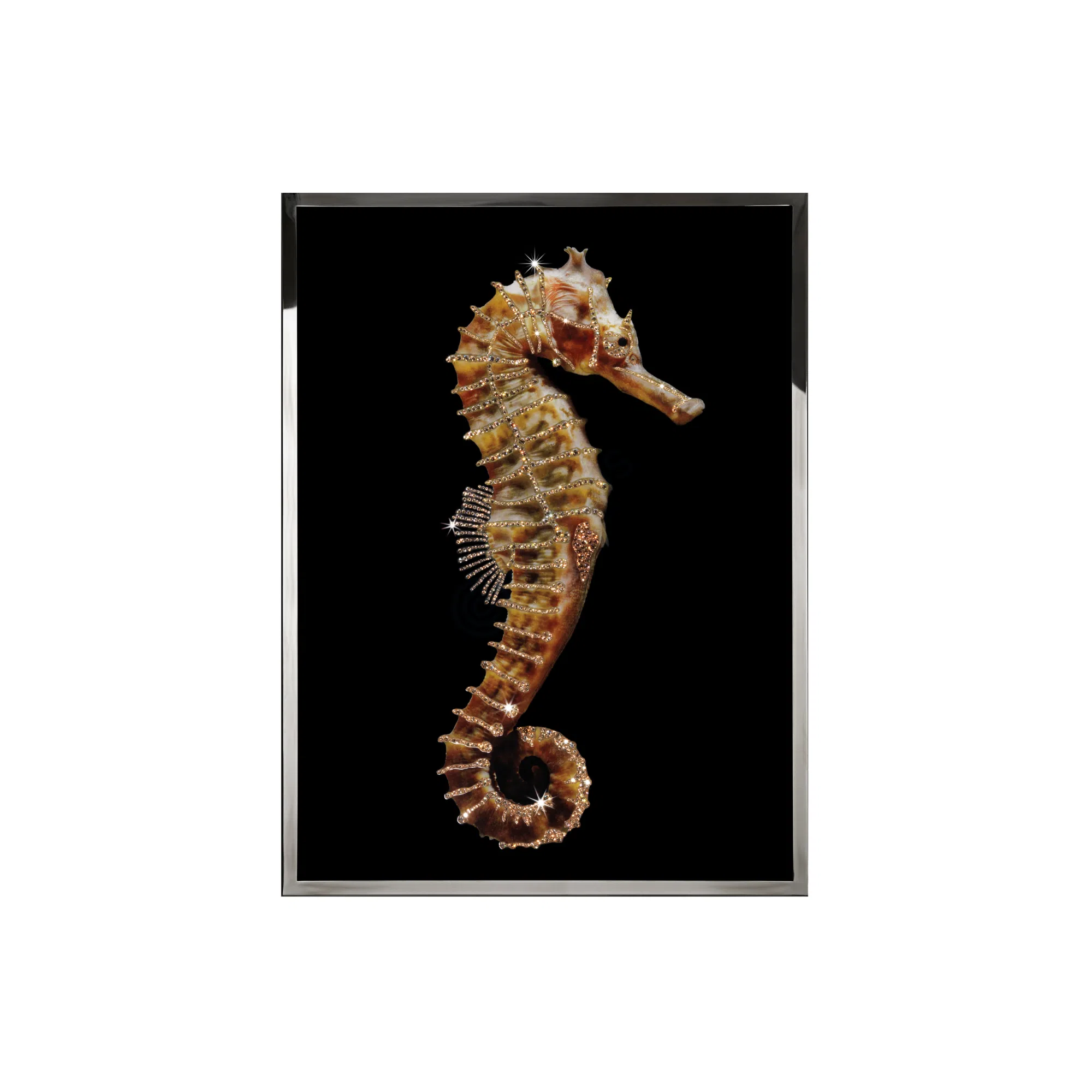 Painting VISIONNAIRE Hippocampus