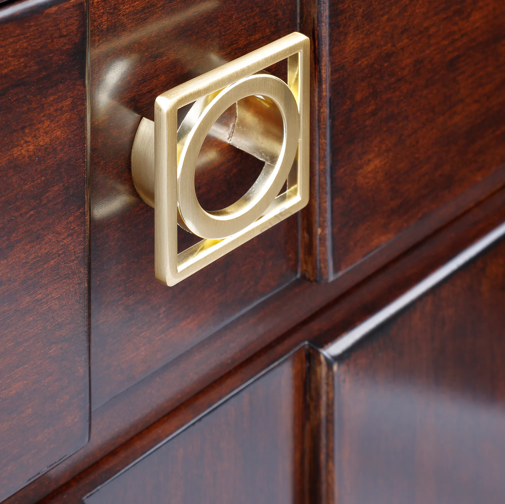 Bookcase Hesperellia