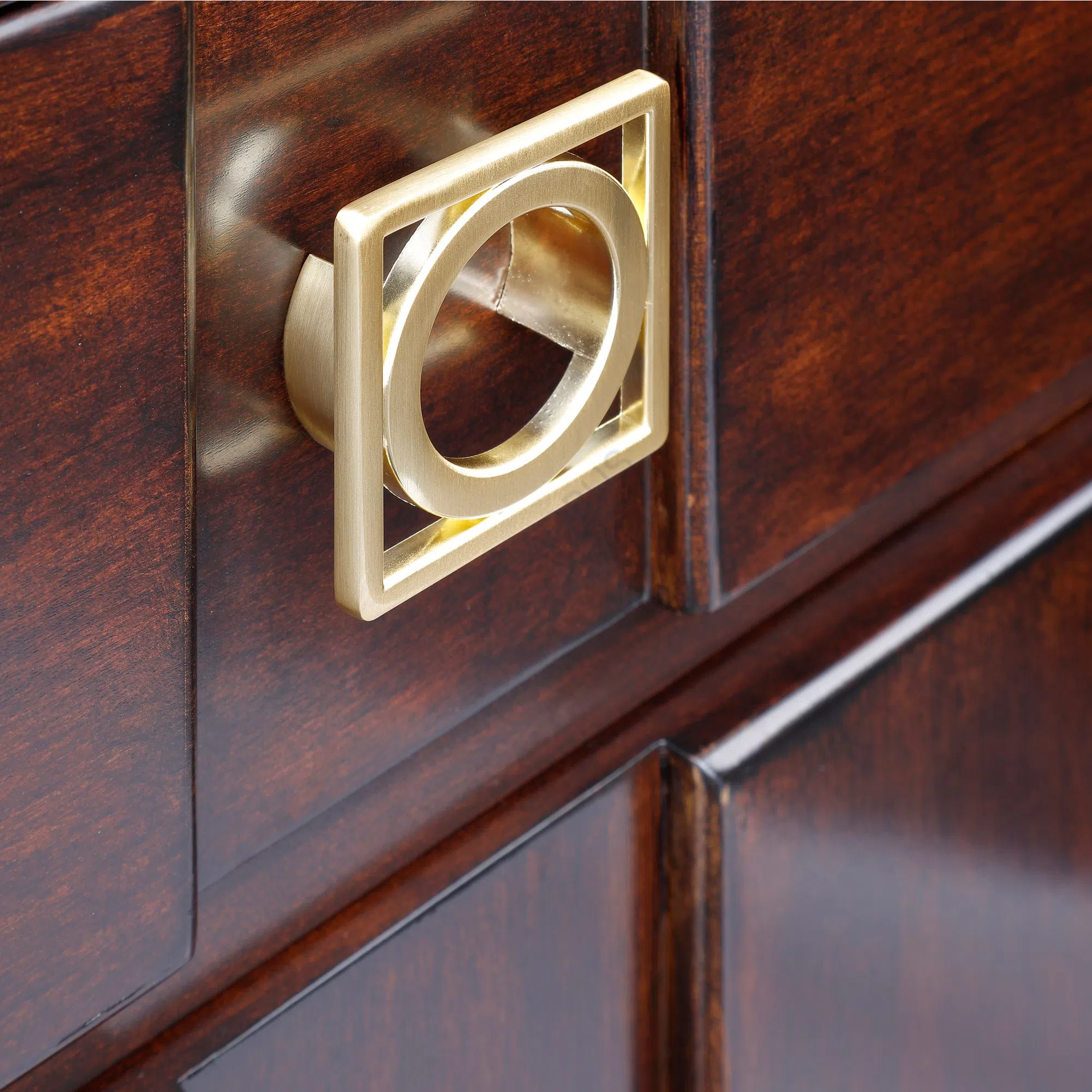 Bookcase Hesperellia