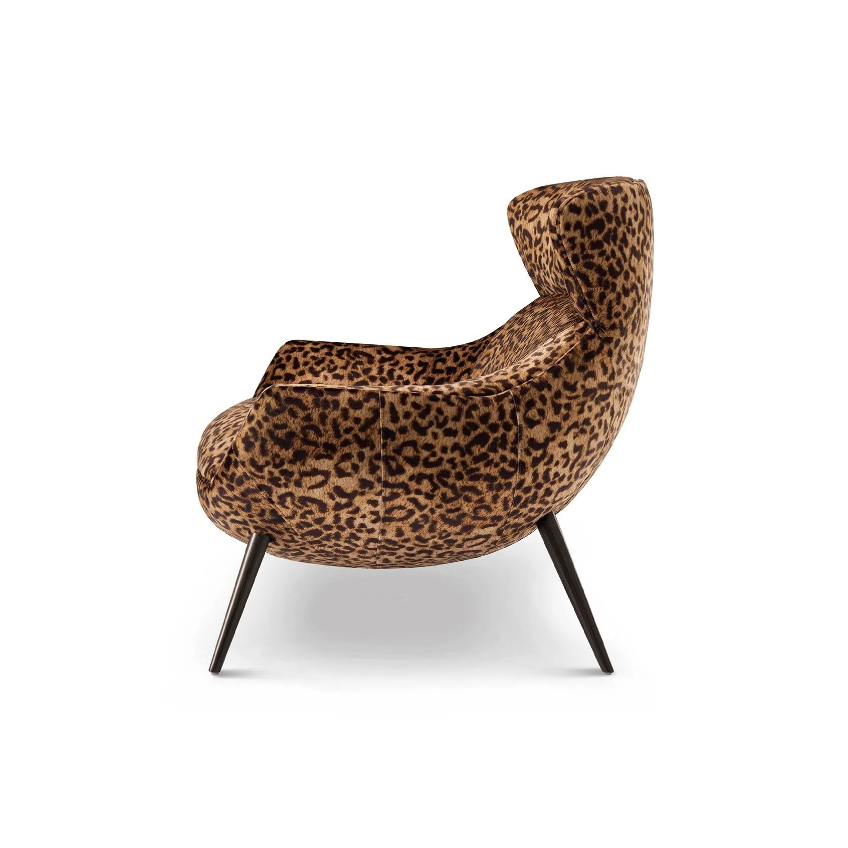 Armchair ROBERTO CAVALLI Curacao