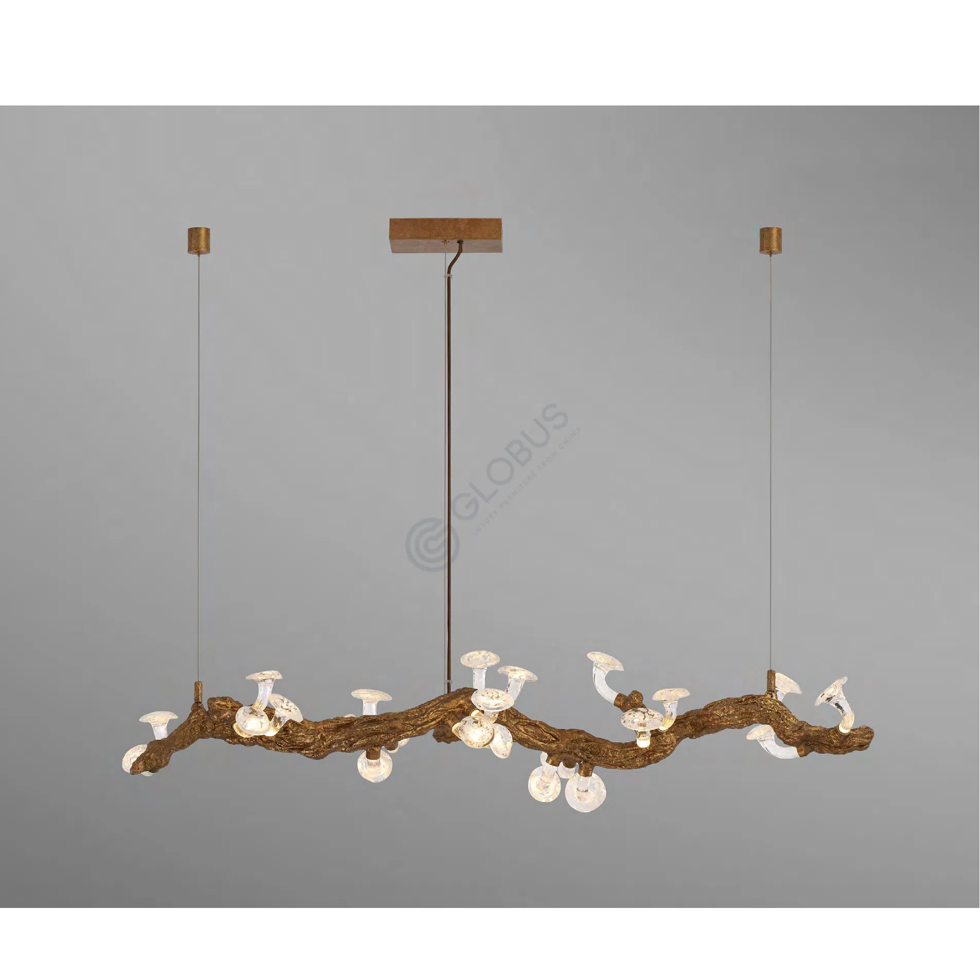 Ceiling lamp Riconoscimento