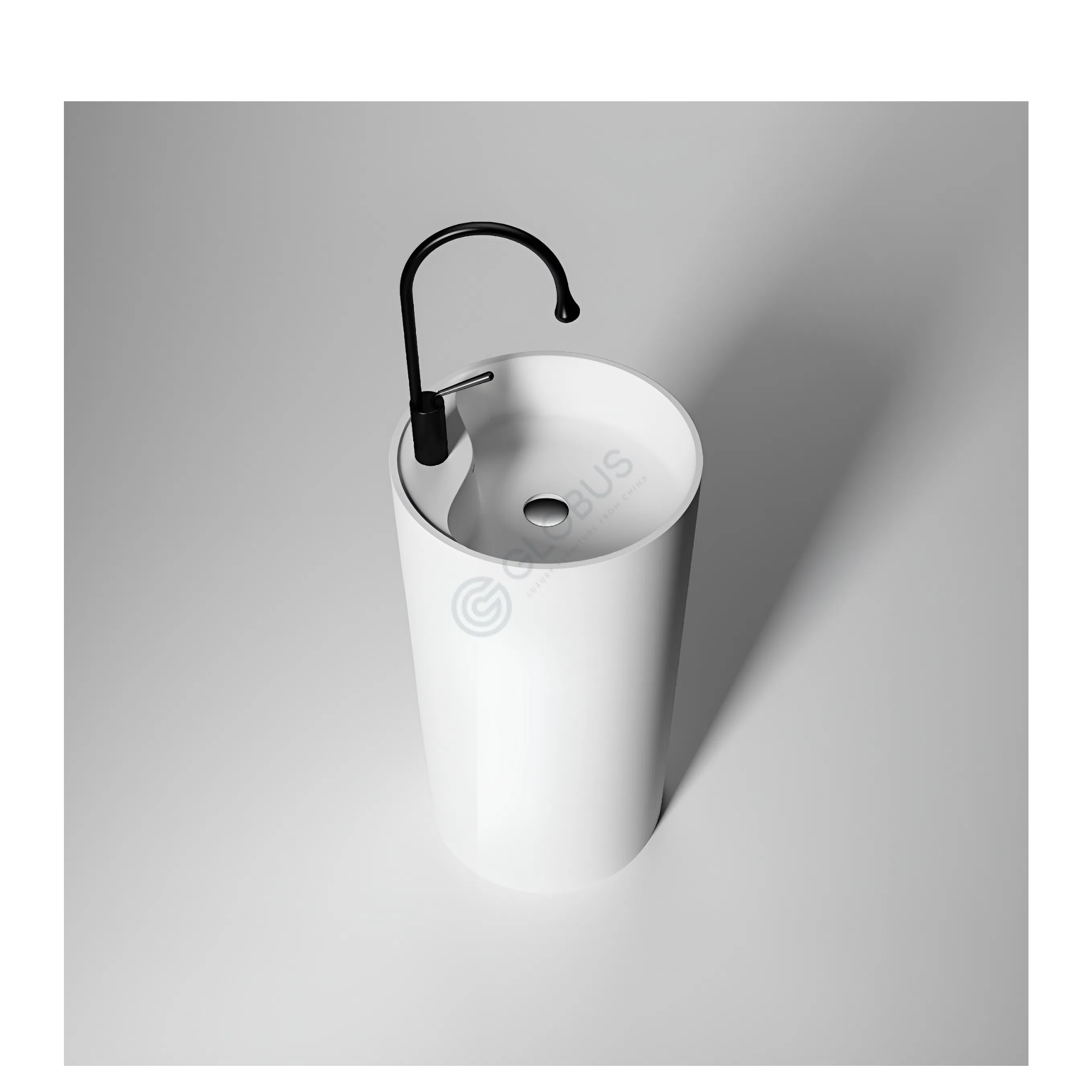 Раковина Janovicus