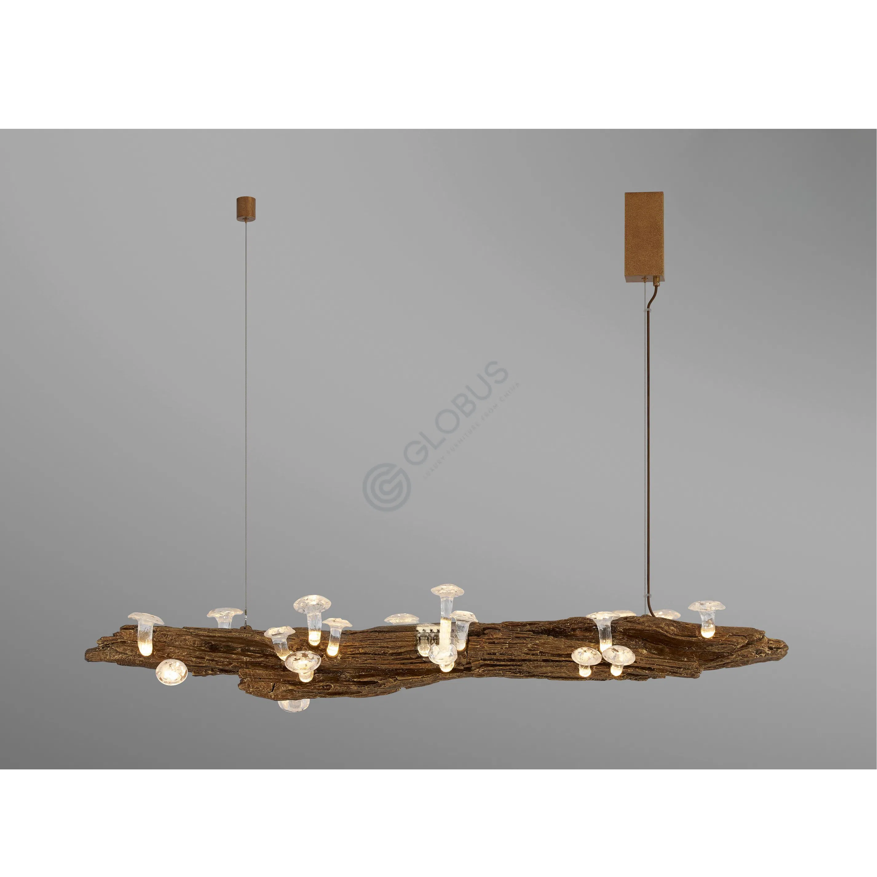 Ceiling lamp Joriantus