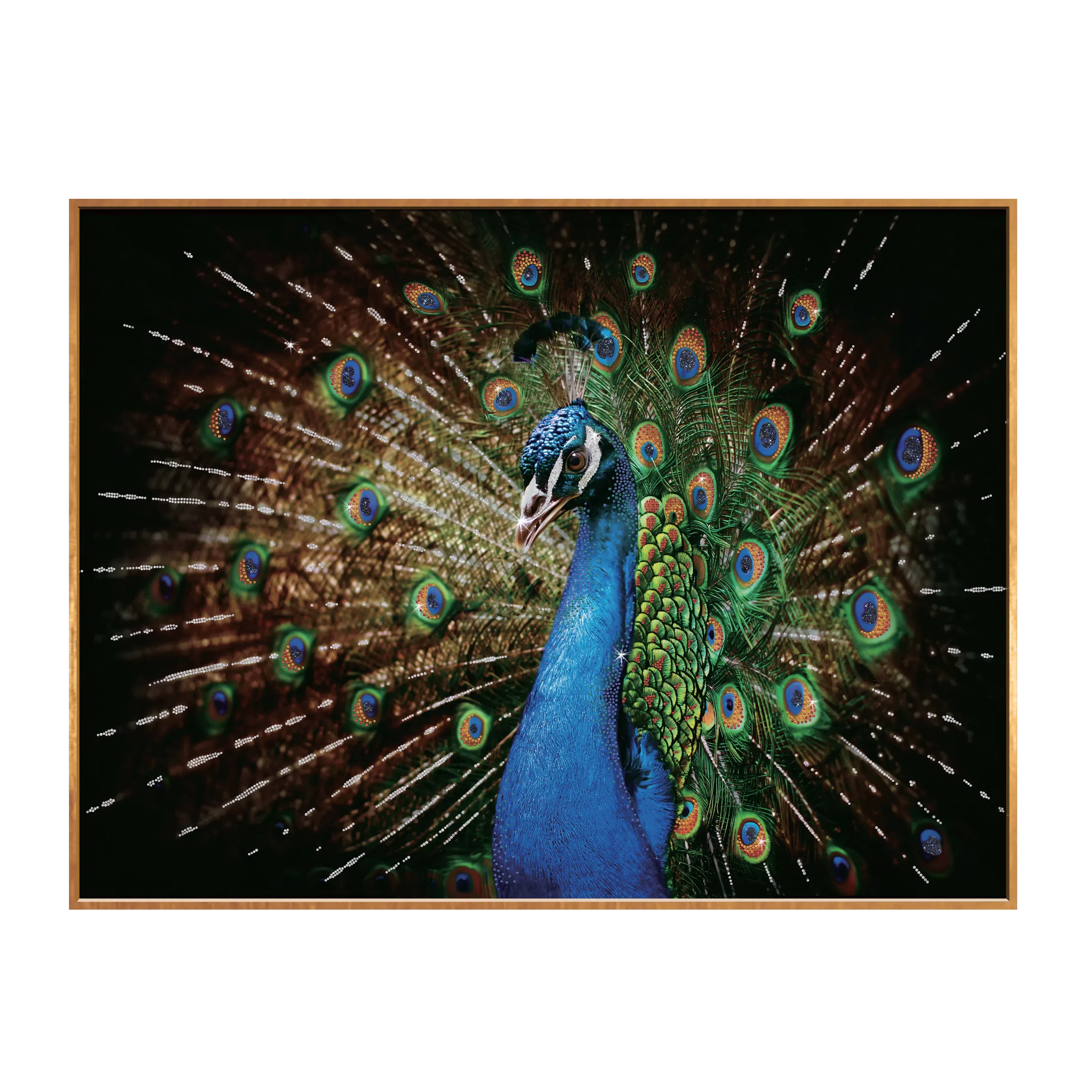 Painting VISIONNAIRE Peacock