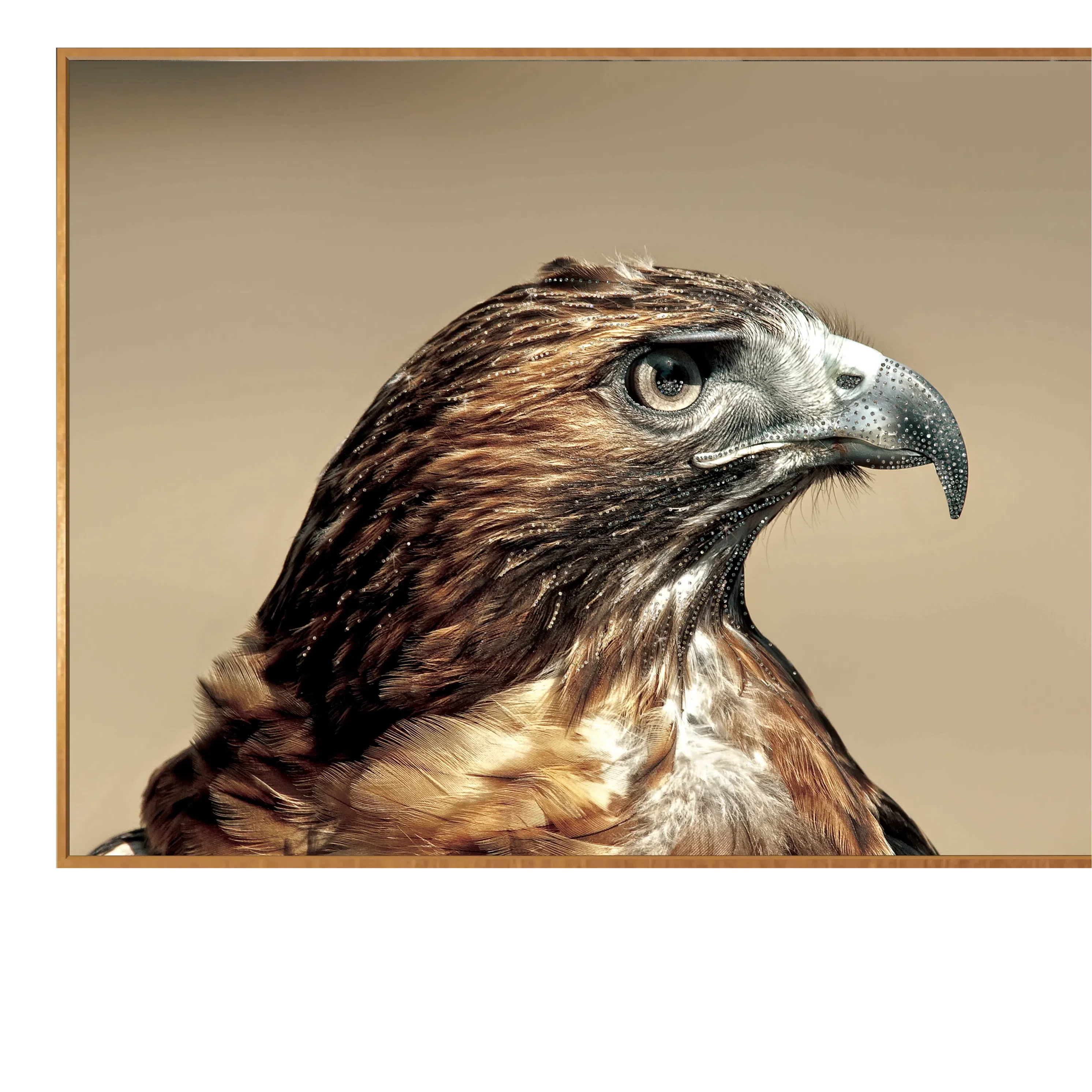 Painting Maritus