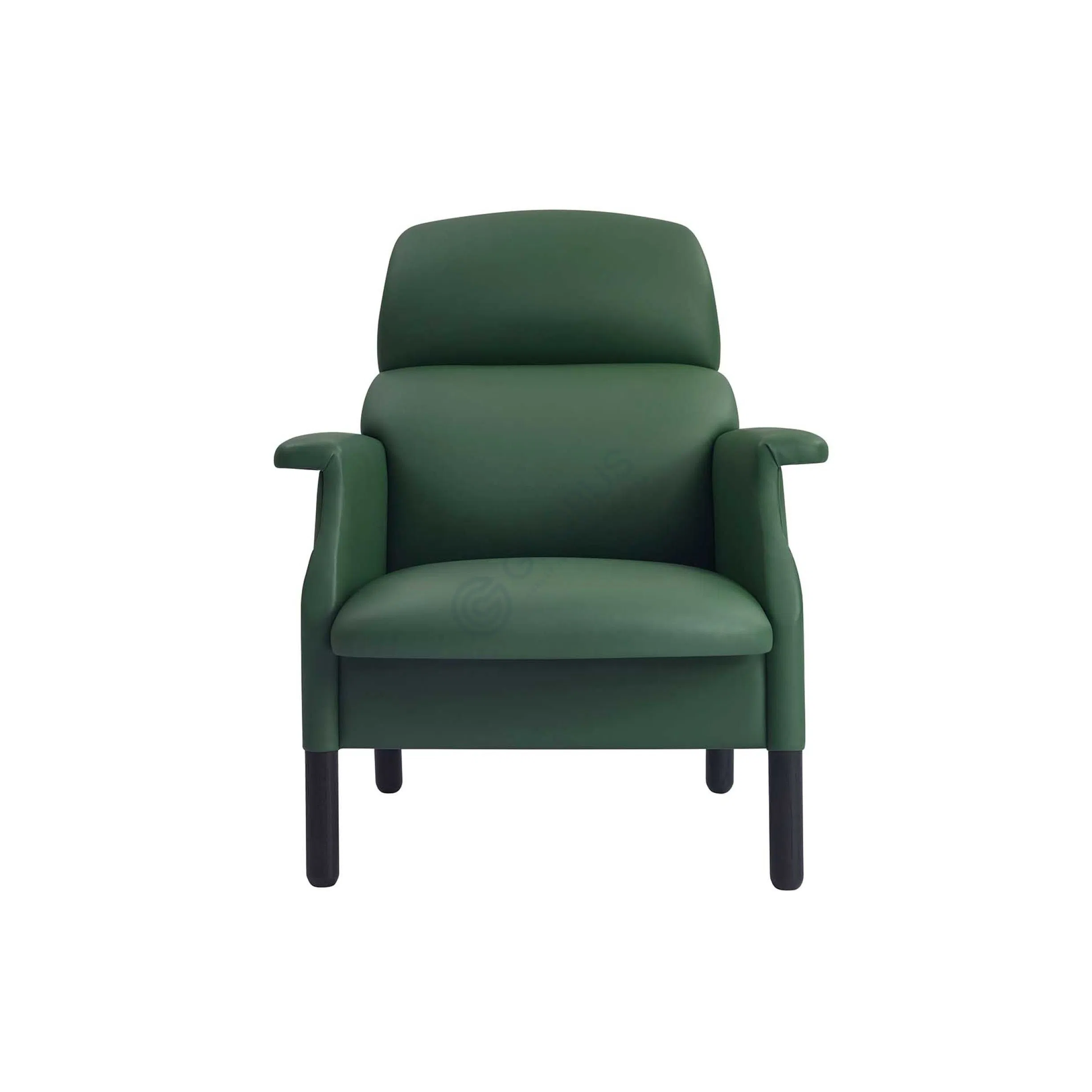 Armchair POLTRONA FRAU Sanluca