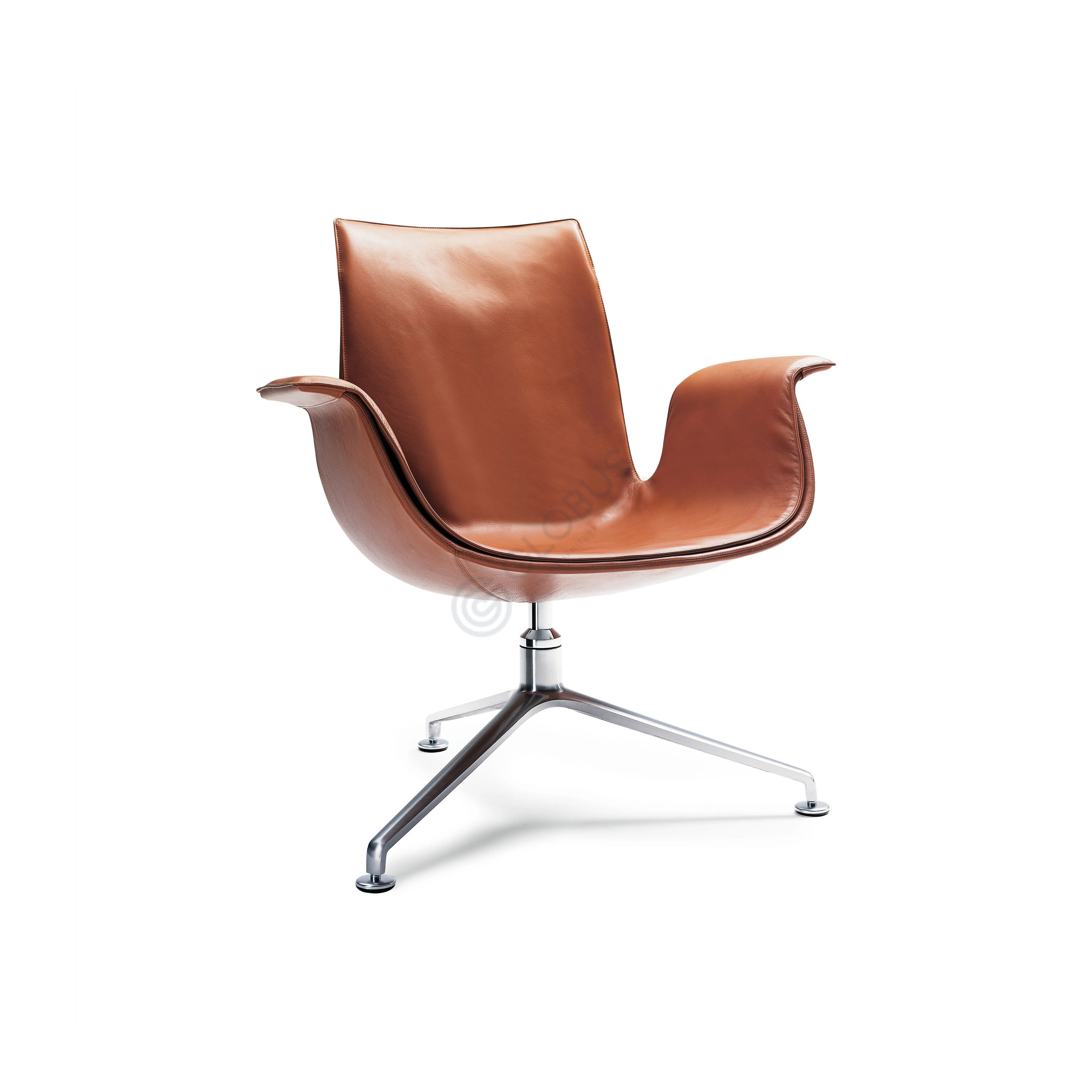 Armchair WALTER KNOLL FK