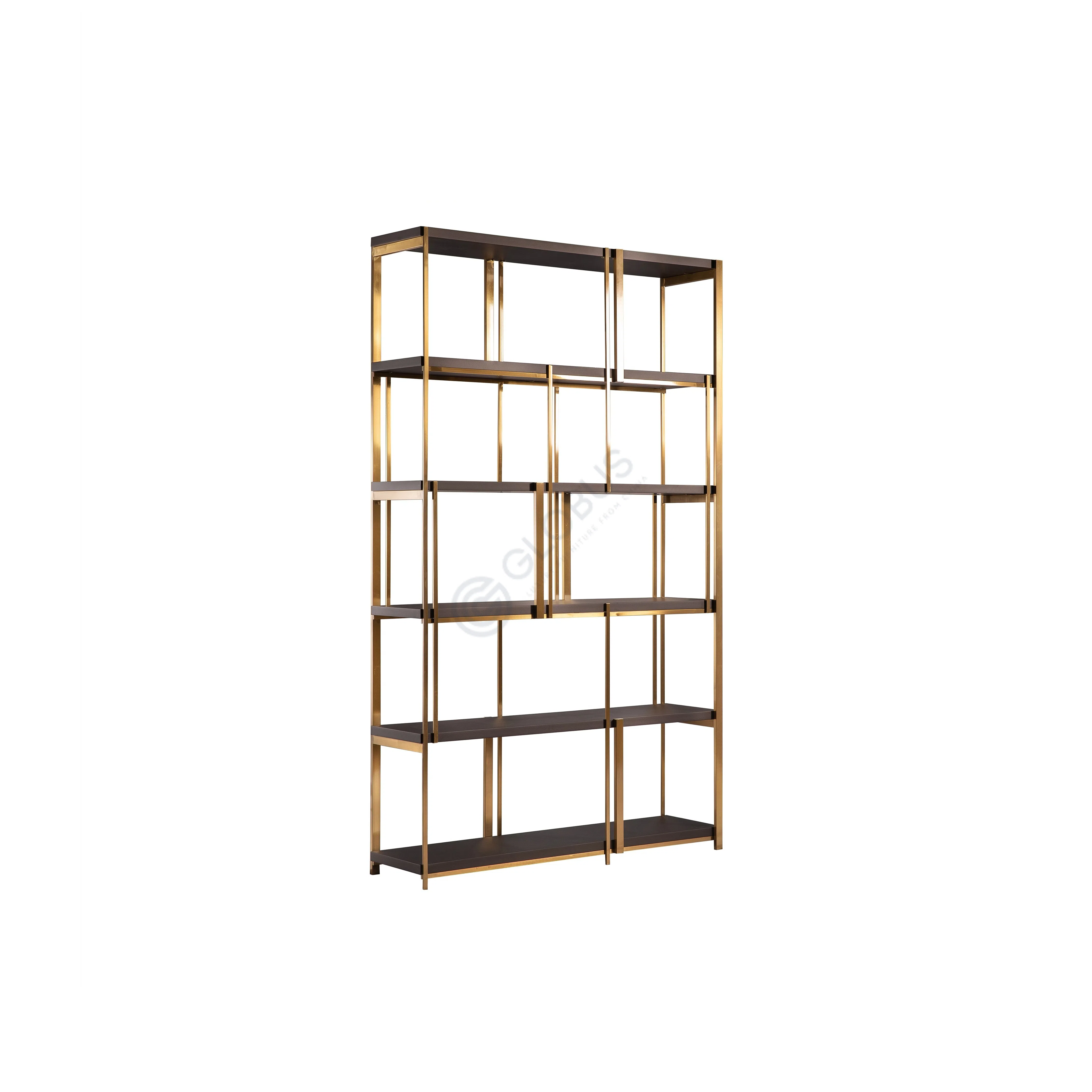 Bookshelf Tortora