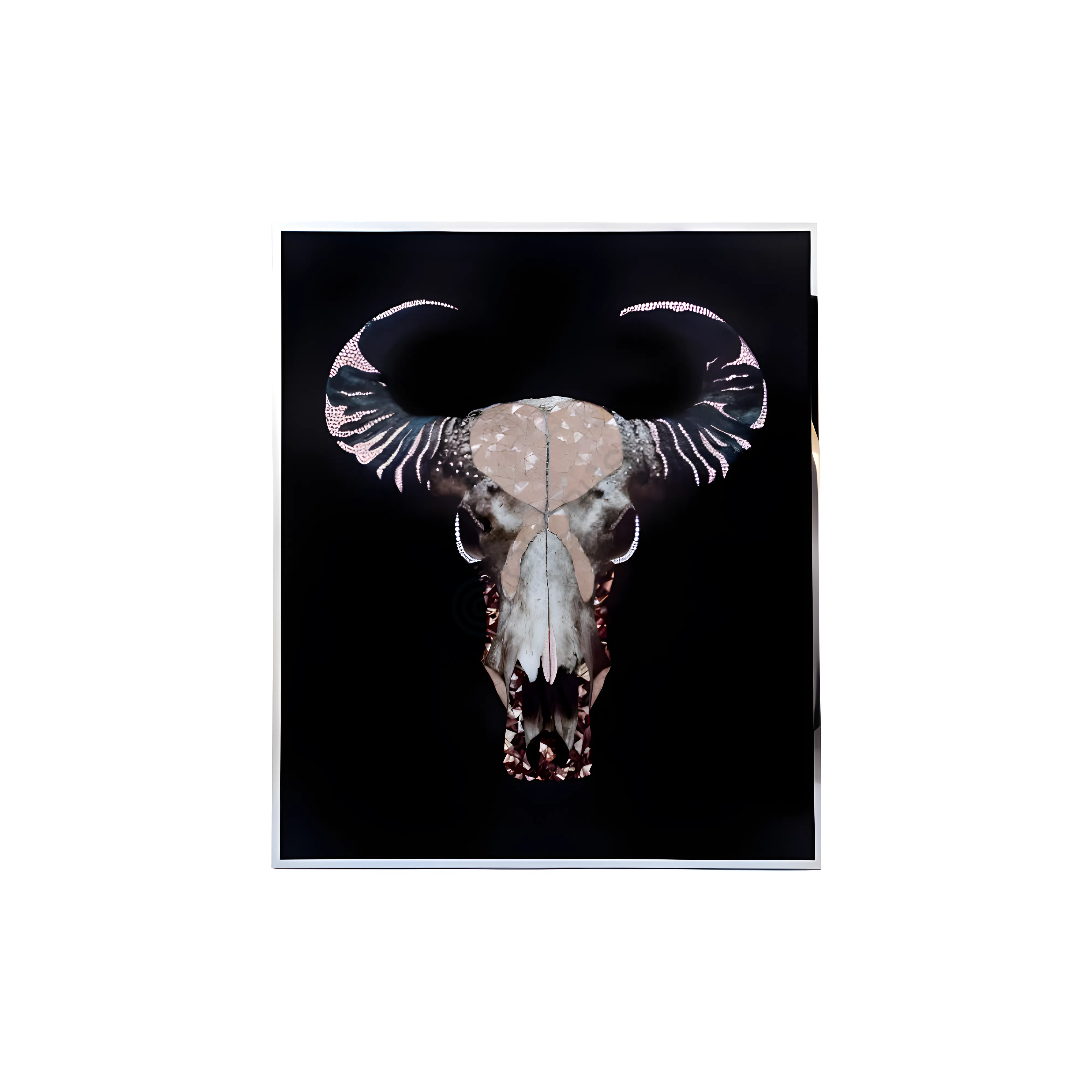 Painting VISIONNAIRE Trofeo Bufalo