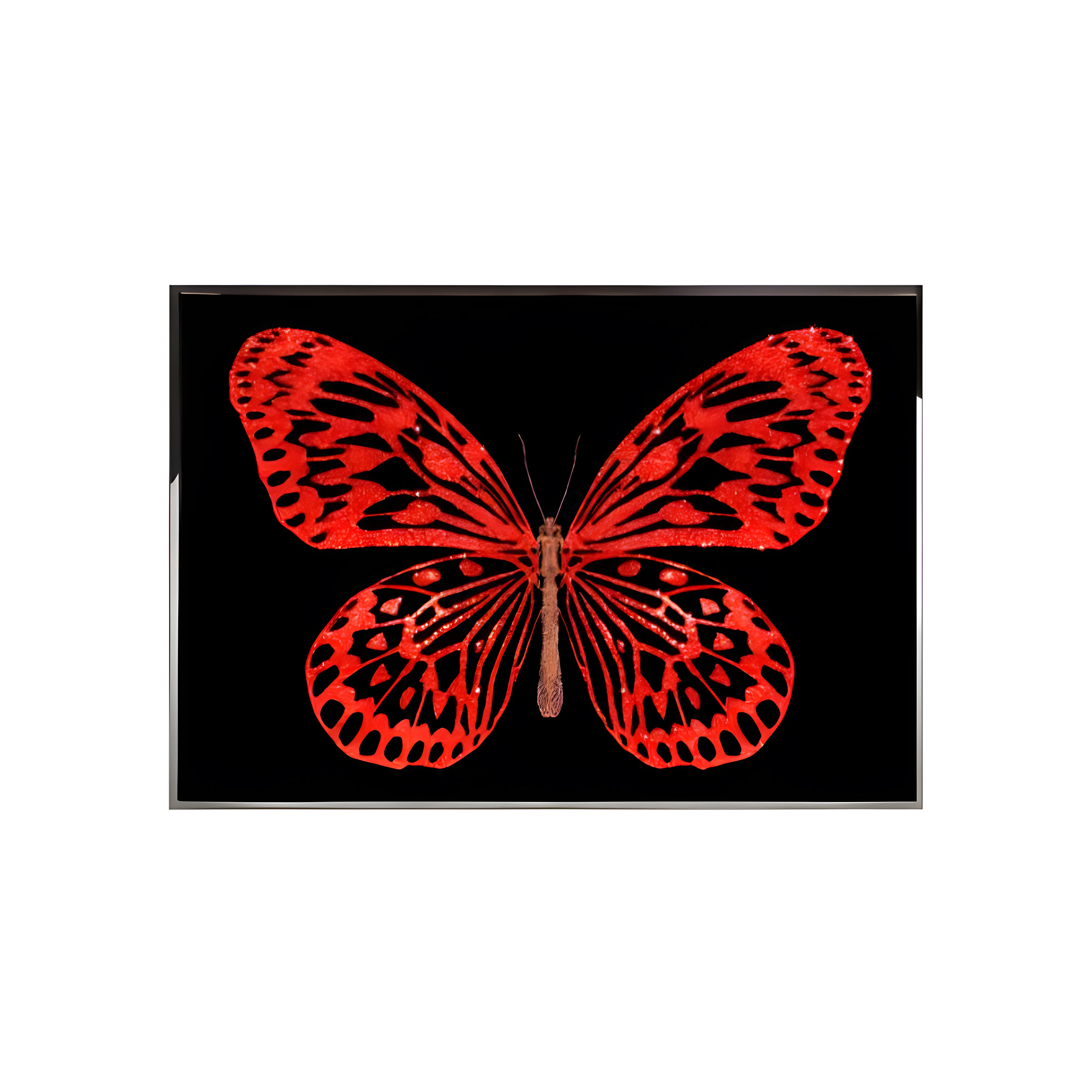 Painting VISIONNAIRE Red Butterfly