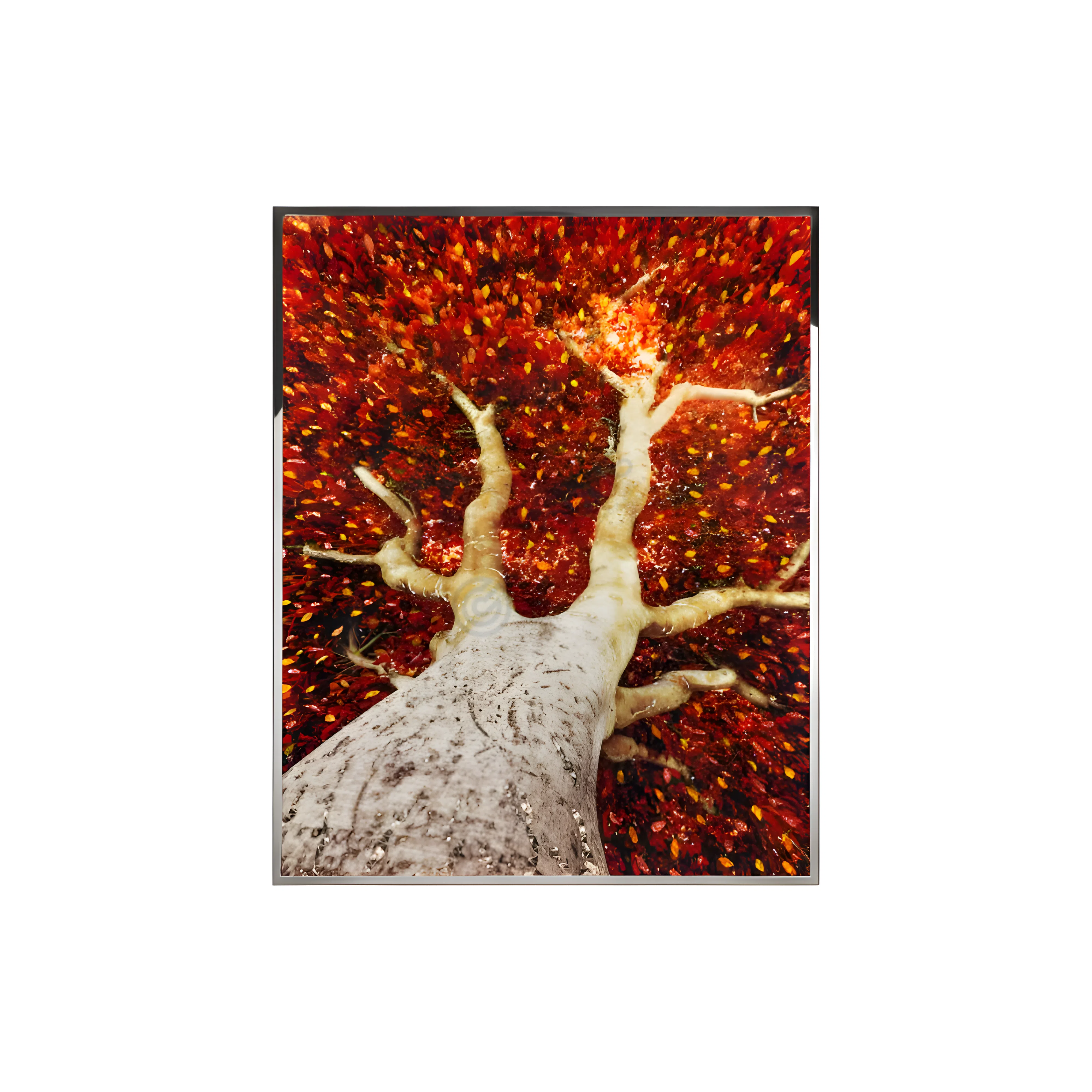 Painting VISIONNAIRE Albero