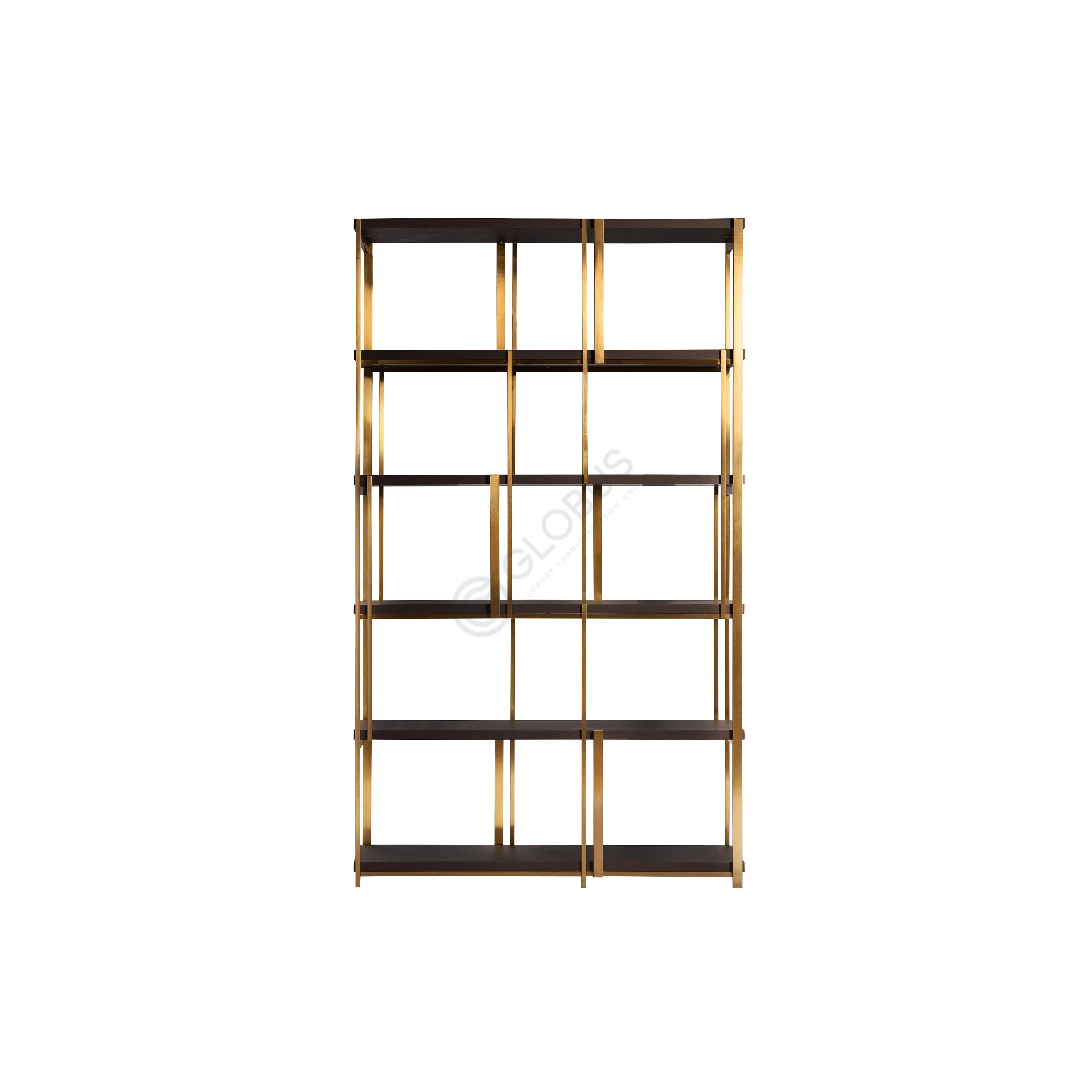 Bookshelf Tortora
