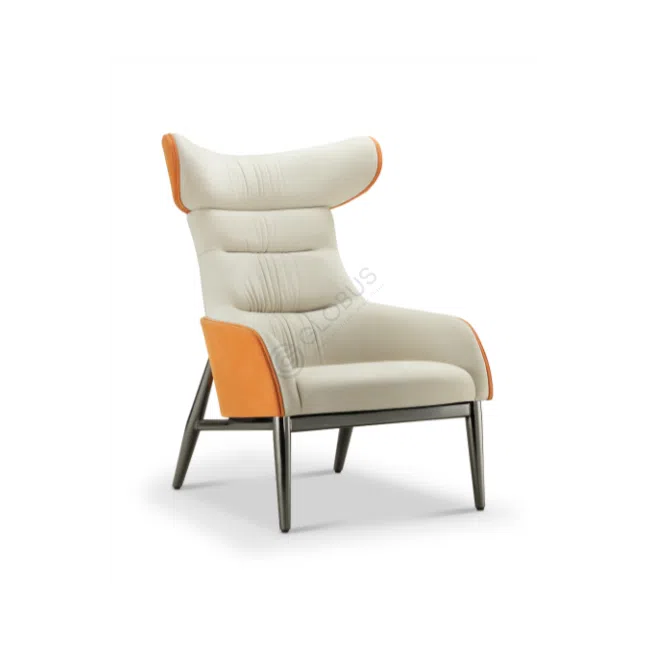 Armchair Sapienter