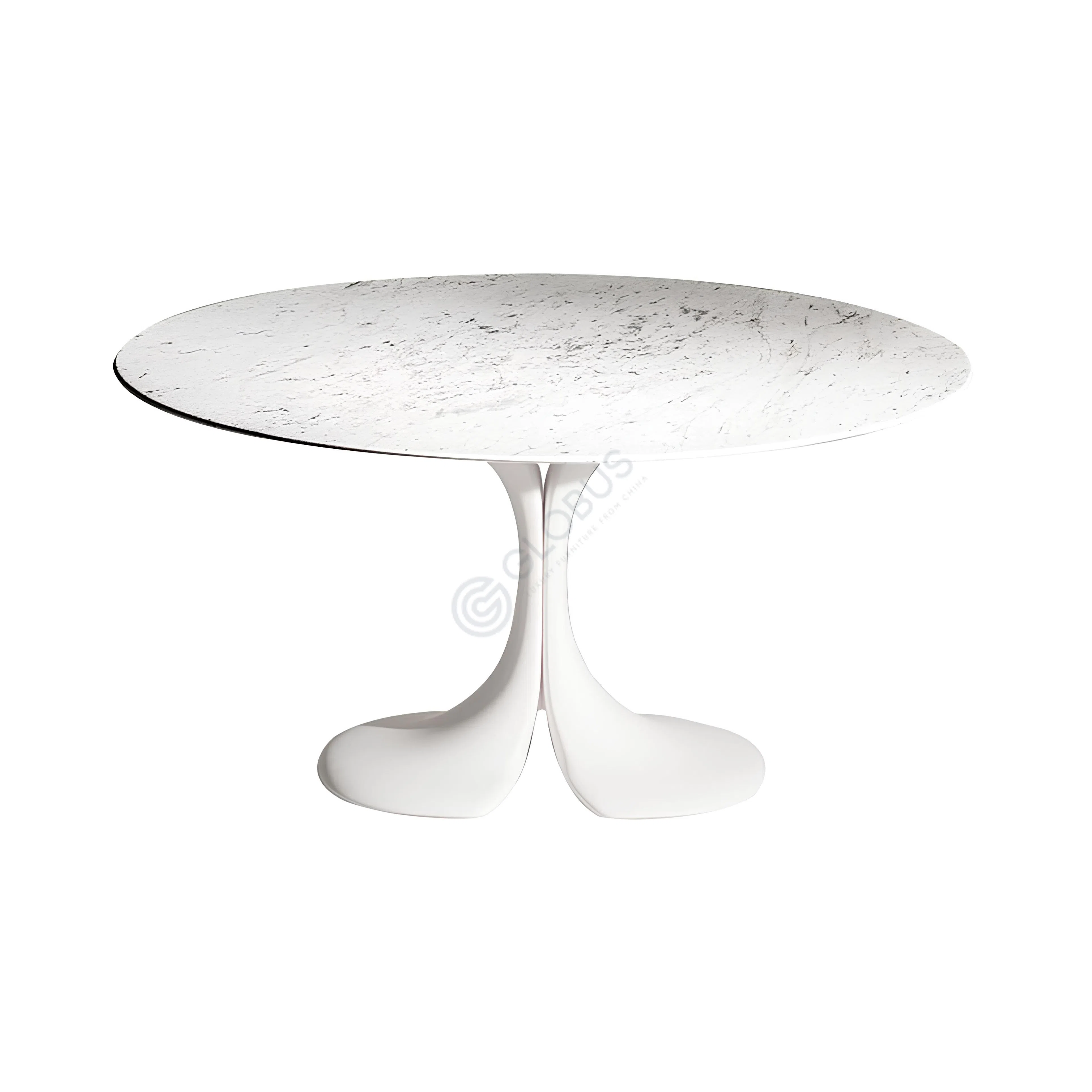 Обеденный стол DRIADE Didymos