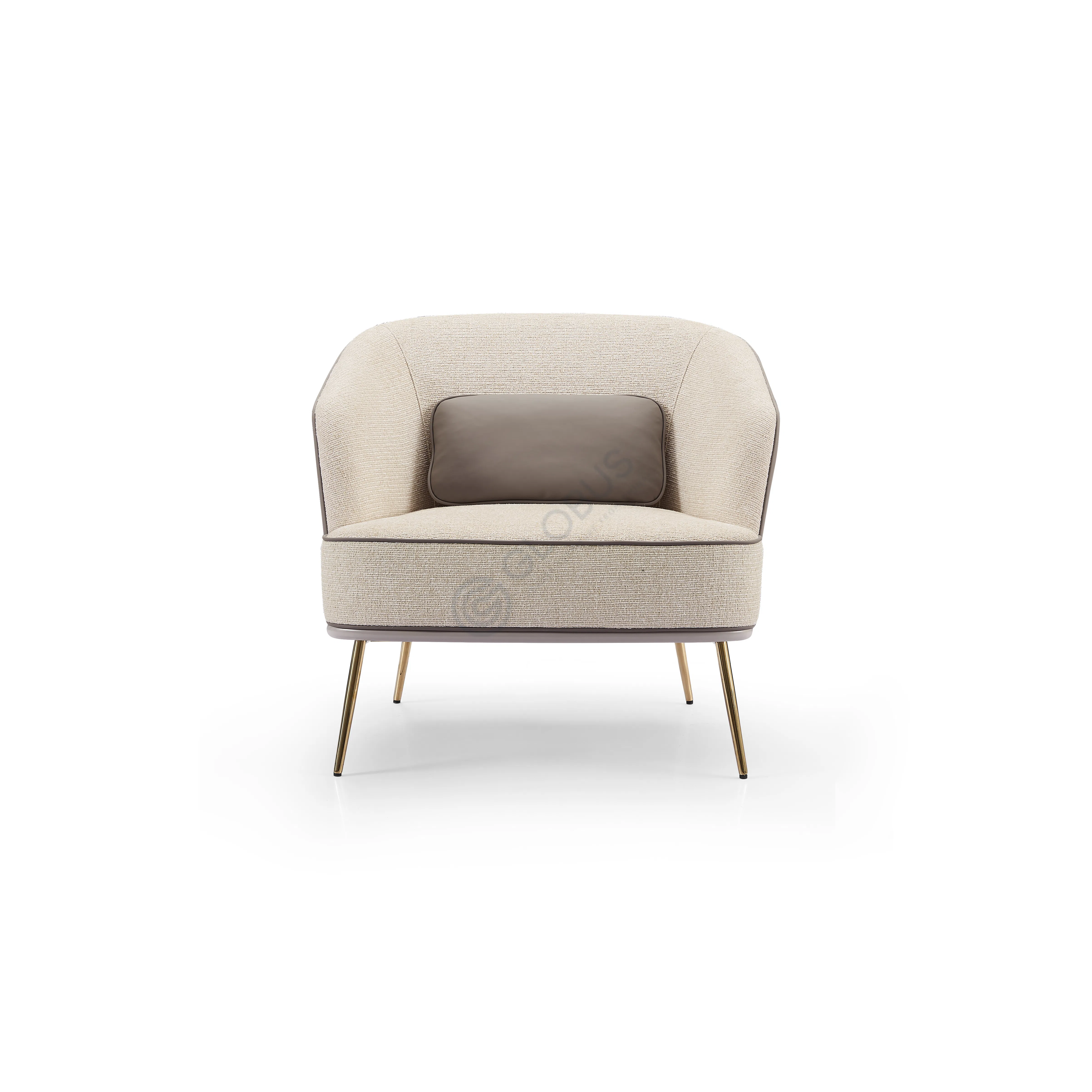 Armchair VISIONNAIRE