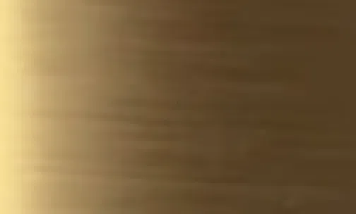 Dining chair Eccedere