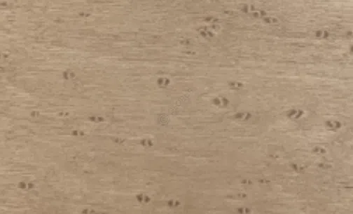 Coffee table FRATO Livorno