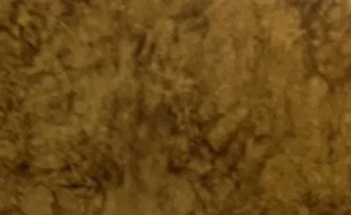 Dining table Garzoni