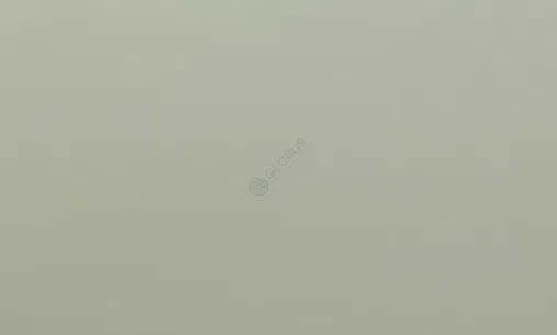 Dining chair ASTER Wolfe