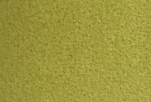 Armchair VISIONNAIRE Sontag