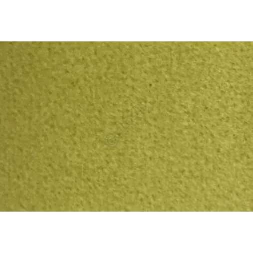 Armchair VISIONNAIRE Sontag