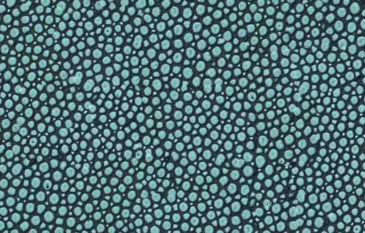 Wine cabinet ZANABONI Rendez-Vous