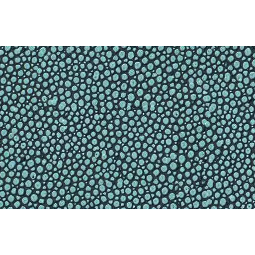 Wine cabinet ZANABONI Rendez-Vous