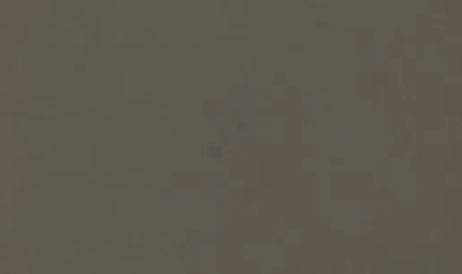 Dining chair Cyprius