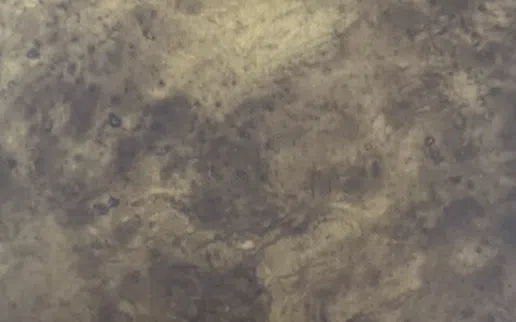 Side table GALLOTTI&RADICE Monete